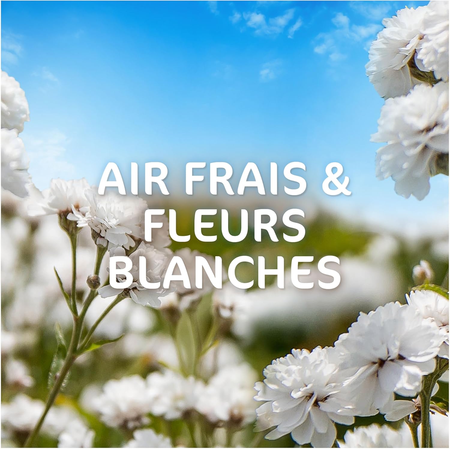 Thumbnail 4 de DASH Liquide Air Frais et Fleurs Blanches 44D – Lavage efficace et parfum léger