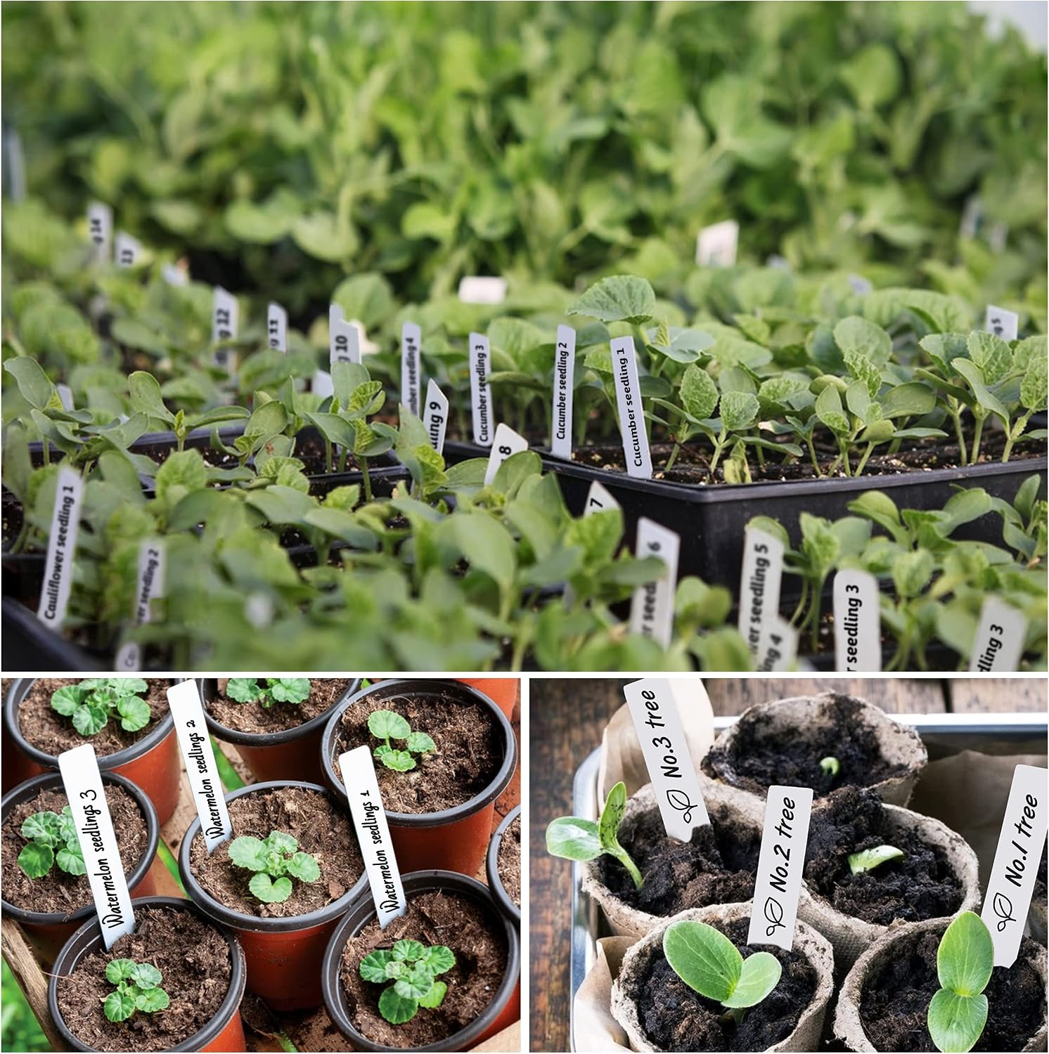 Thumbnail 5 de TDHDIKE 4-Inch Plastic Plant Labels, 300-Pack with Permanent Marker