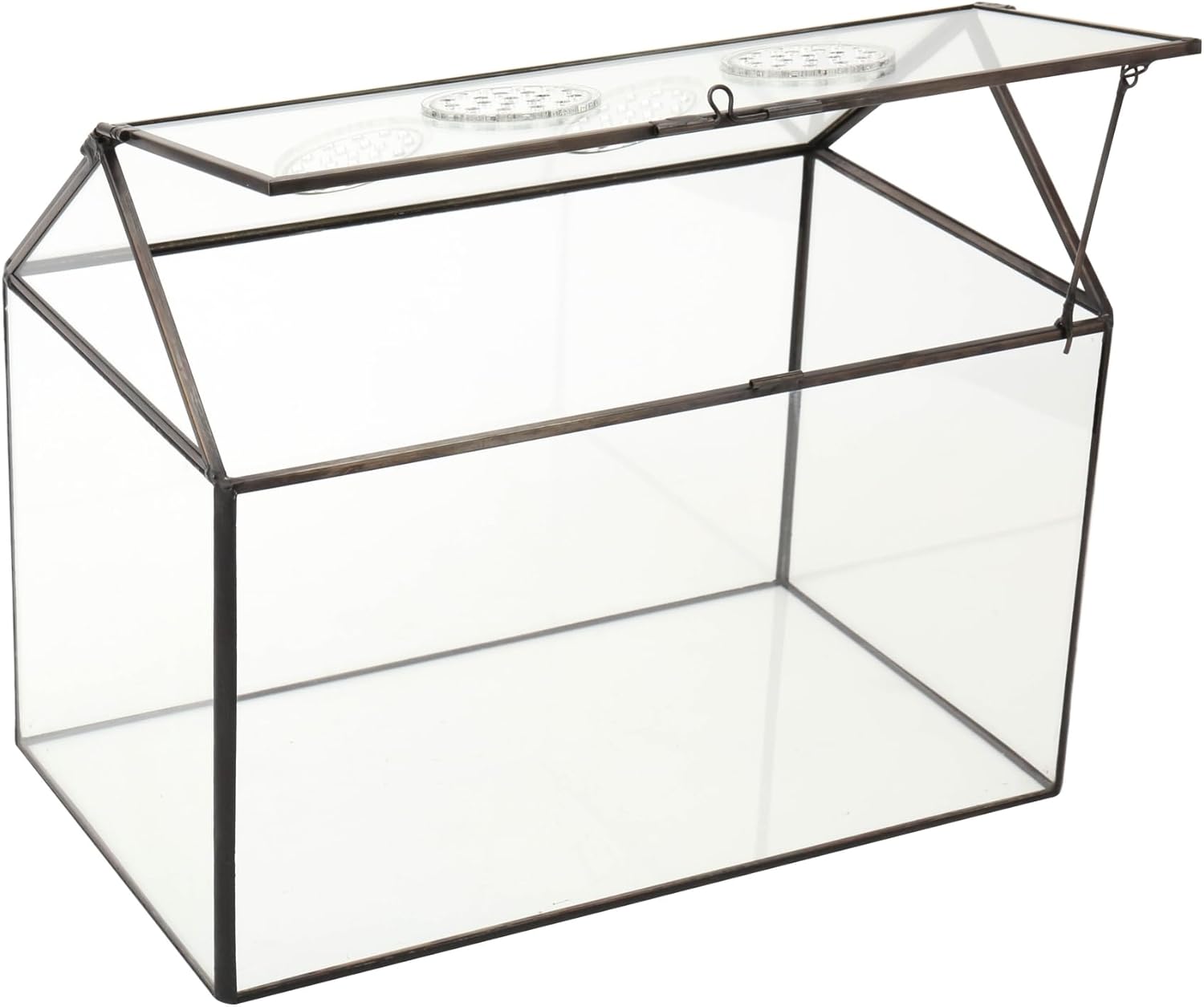 Thumbnail 3 de NCYP glass terrarium box 26x15x21 cm
