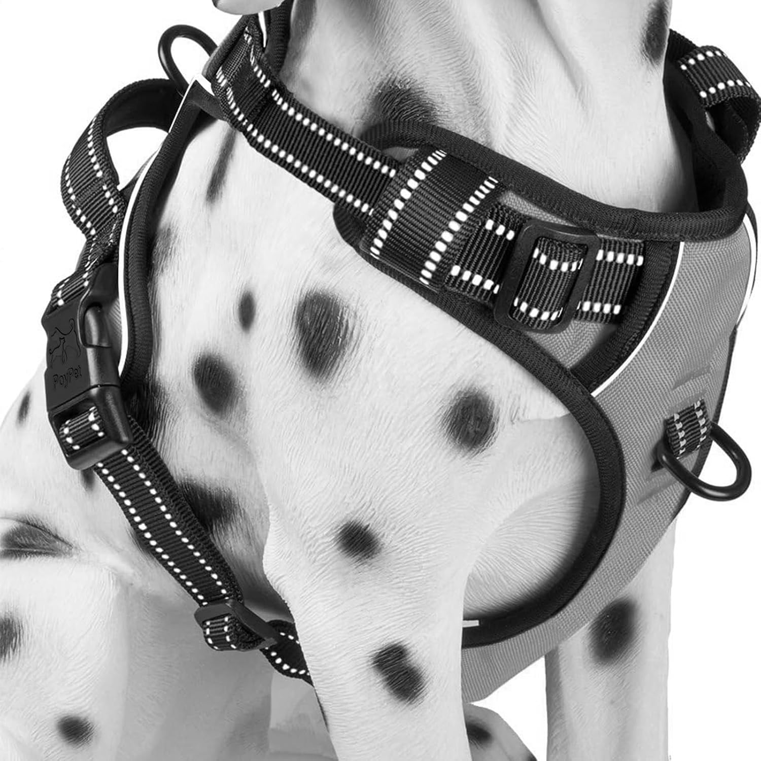 Detalle de PoyPet Dog Harness XL