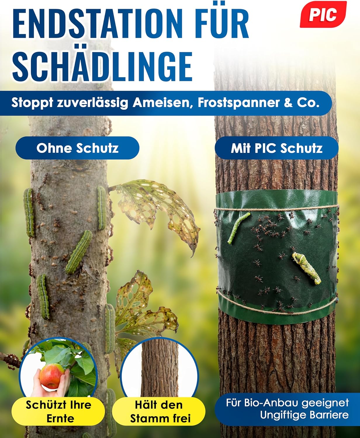 Detalle 2 de PIC Leimringe für Obstbäume – selbstklebender Baumleimring (10 m) gegen Ameisen & Frostspanner