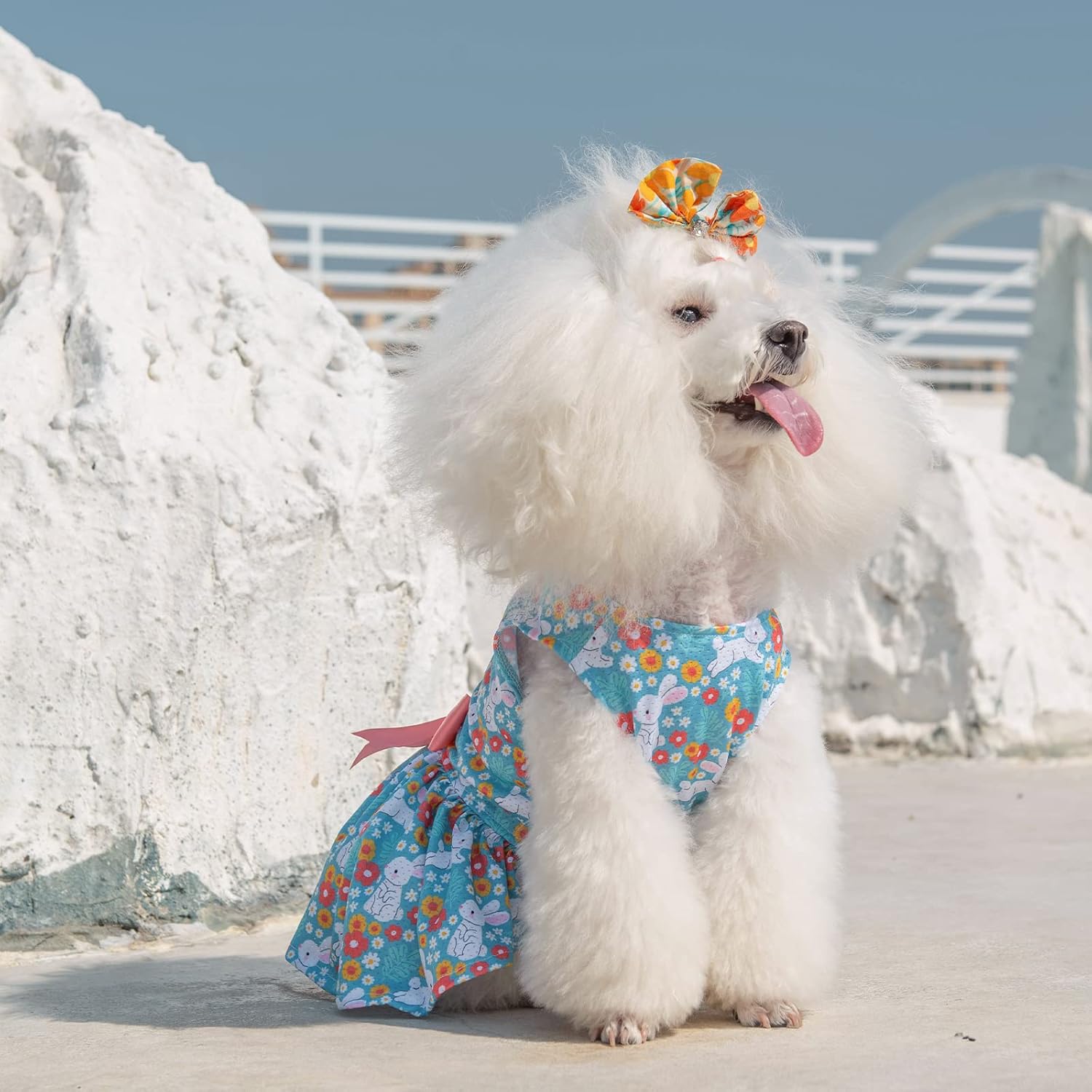 Detalle 2 de CuteBone Dog Dress, XX-Small