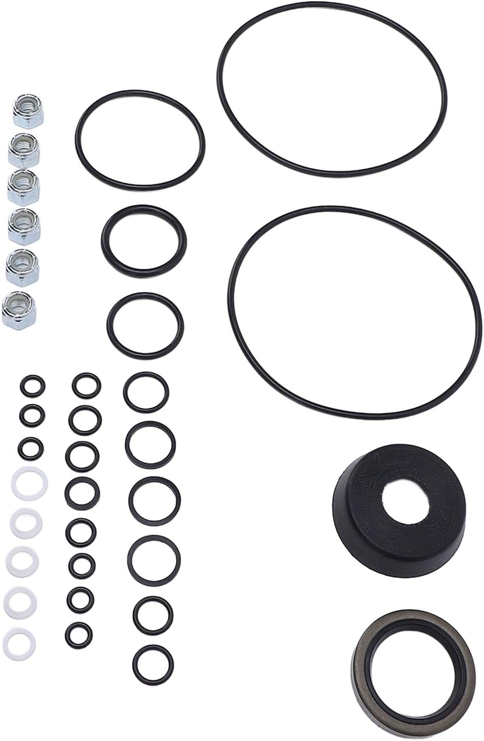 Thumbnail 3 de KIMISS snow plow pump seal kit 1306150