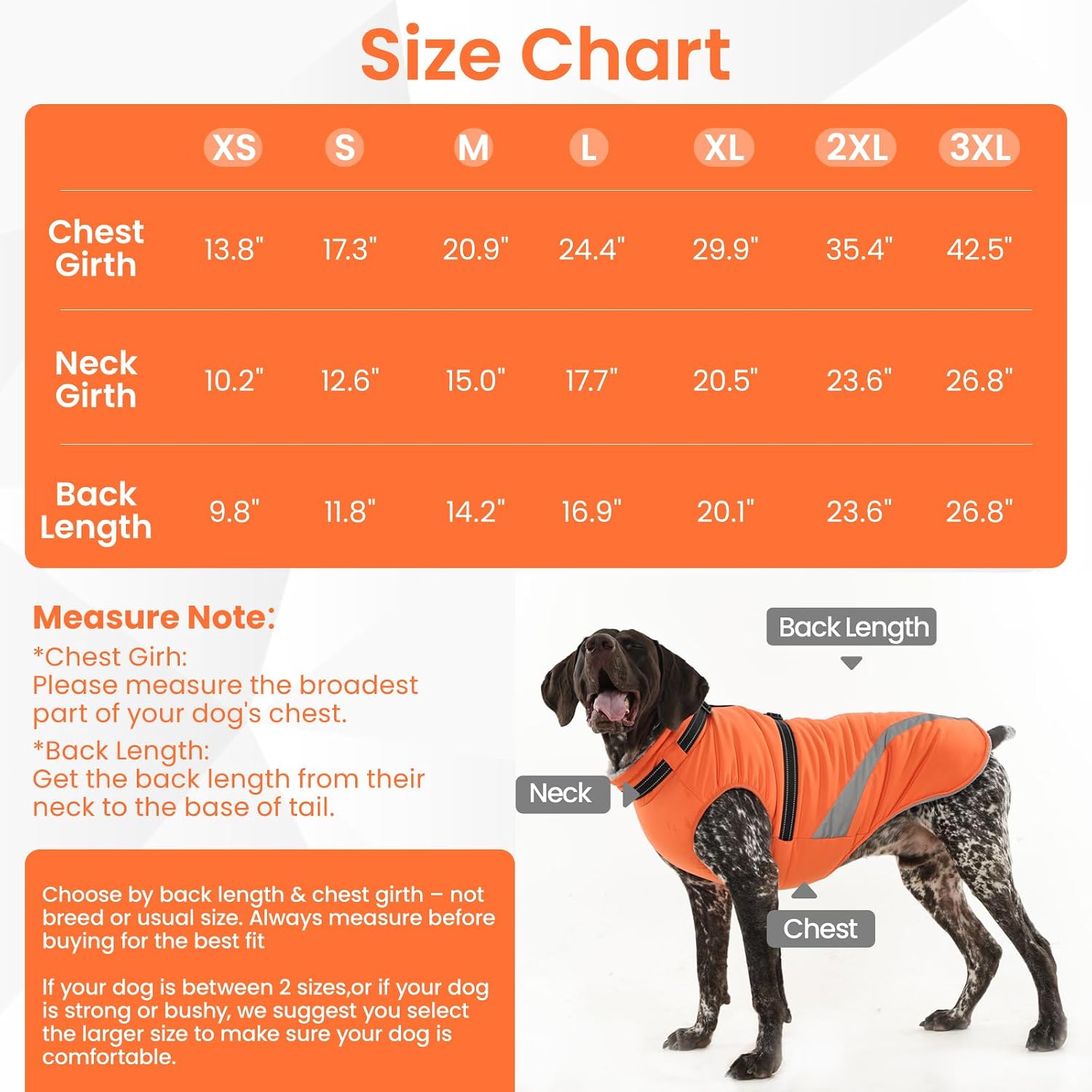 Thumbnail 6 de QBLEEV Dog Winter Coat, L