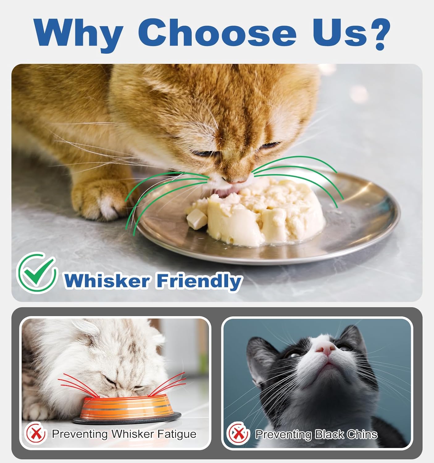 Thumbnail 1 de Supet Cat Food Bowls (6.7 inch) – Stainless Steel Non-Slip Dishes with Silicone Bases, Blue 4 Pack
