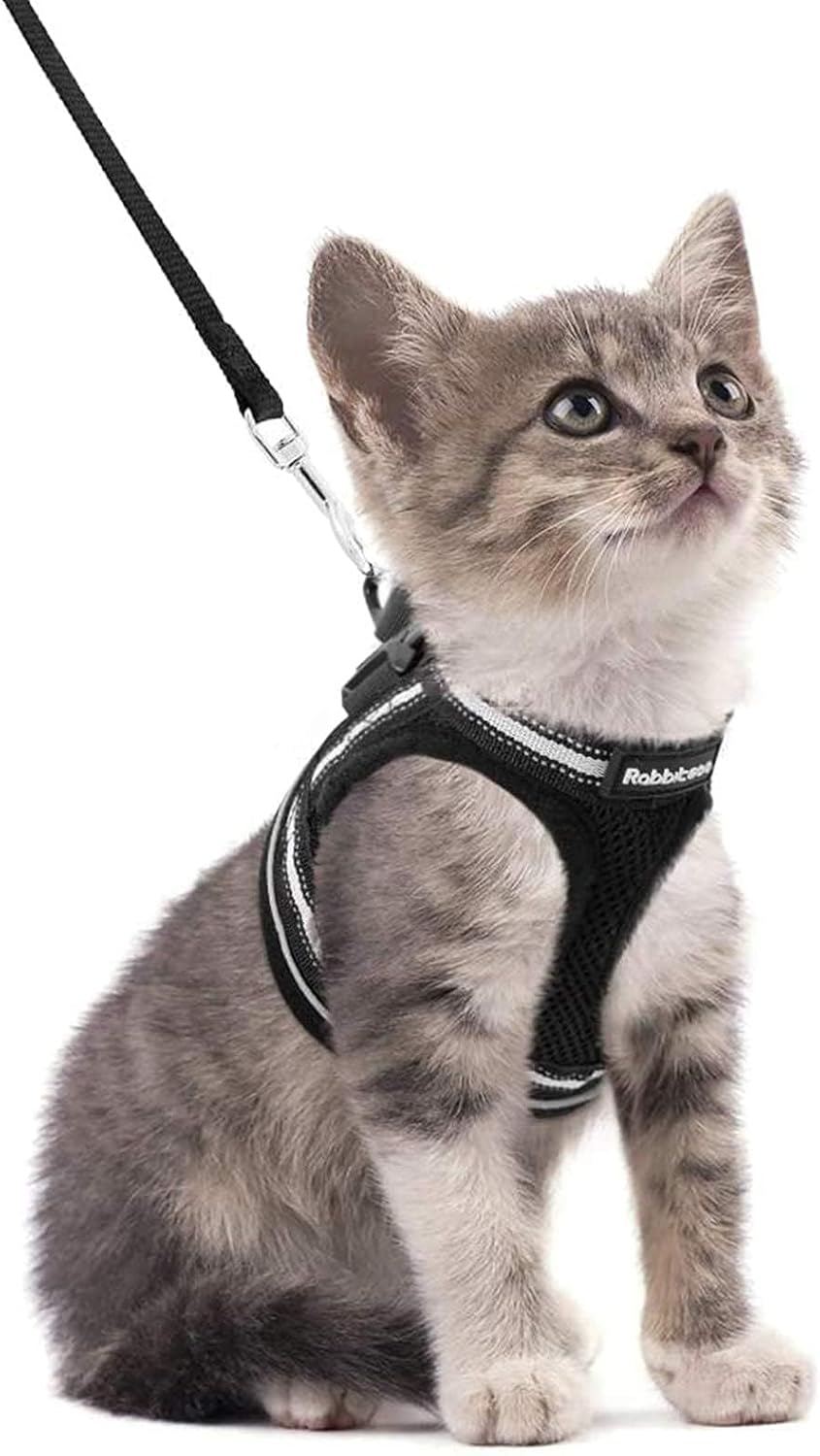 Detalle de rabbitgoo Katzengeschirr mit Leine, ausbruchsicheres Kitten-Set (S) mit reflektierenden Streifen, Schwarz