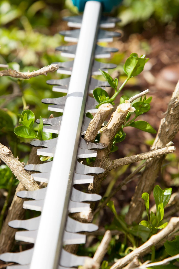 Thumbnail 2 de Gardena THS 500/48 – Teleskop-Heckenschere mit 3 m Reichweite und 500 W