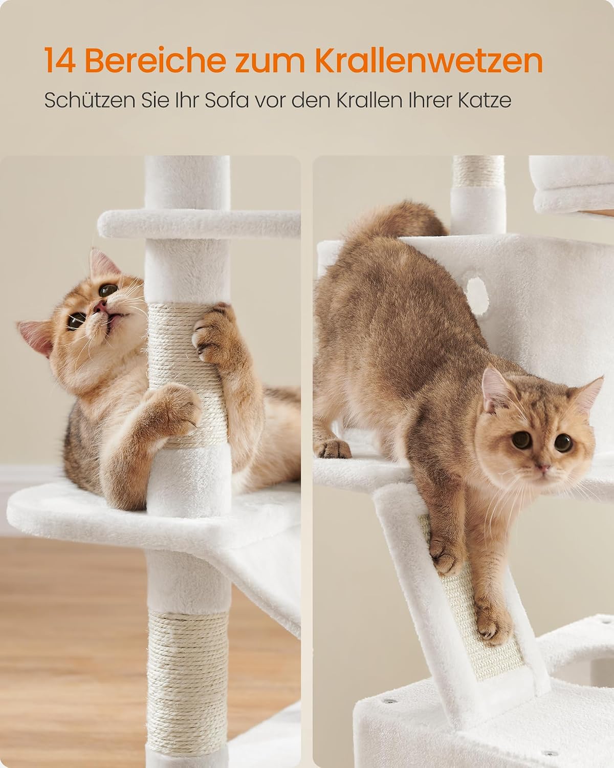 Thumbnail 4 de Feandrea Kratzbaum groß 168 cm L Katzenbaum mit 13 Kratzsäulen