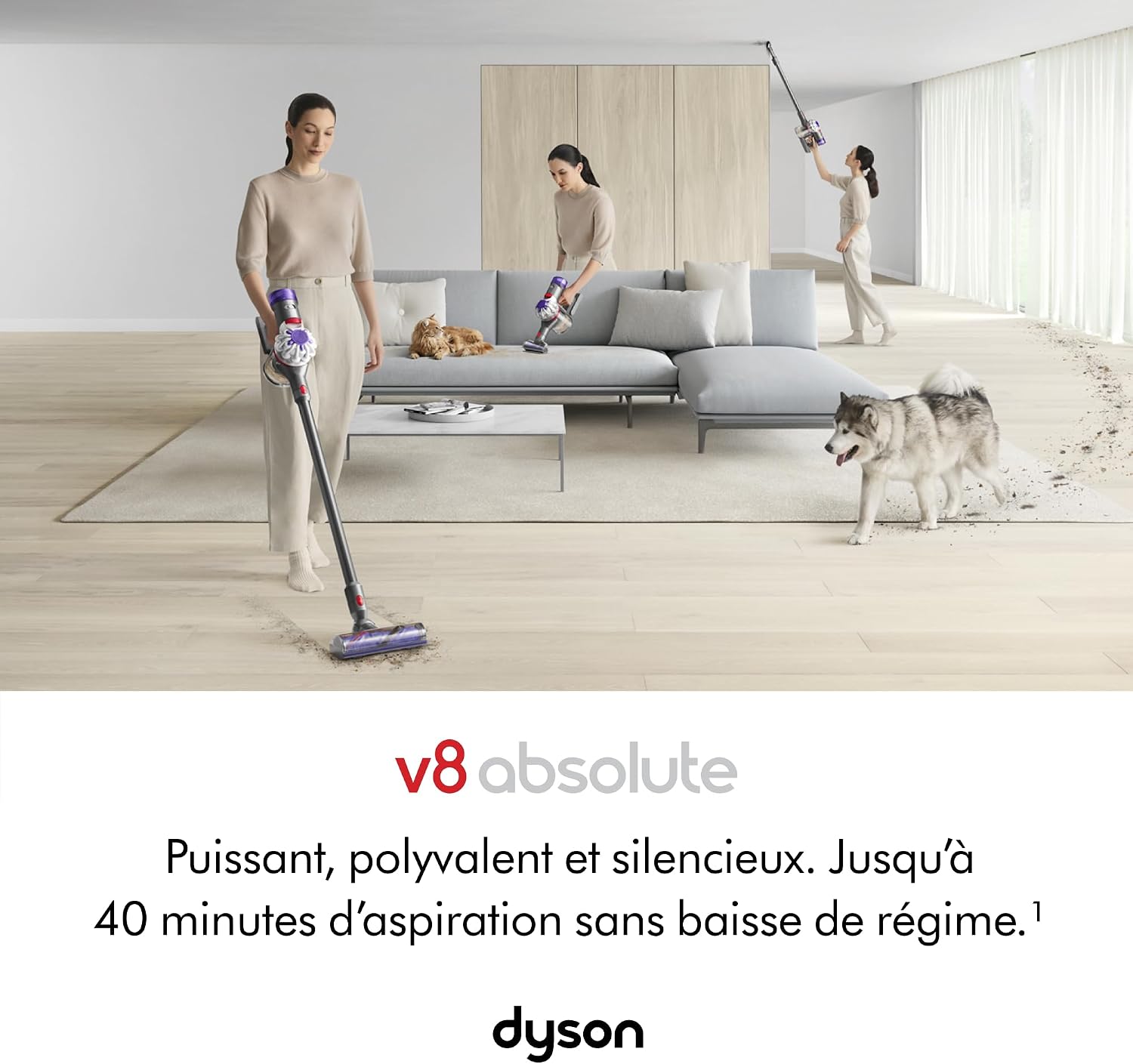 Detalle 2 de Dyson V8 Absolute Aspirateur sans Fil 40 min