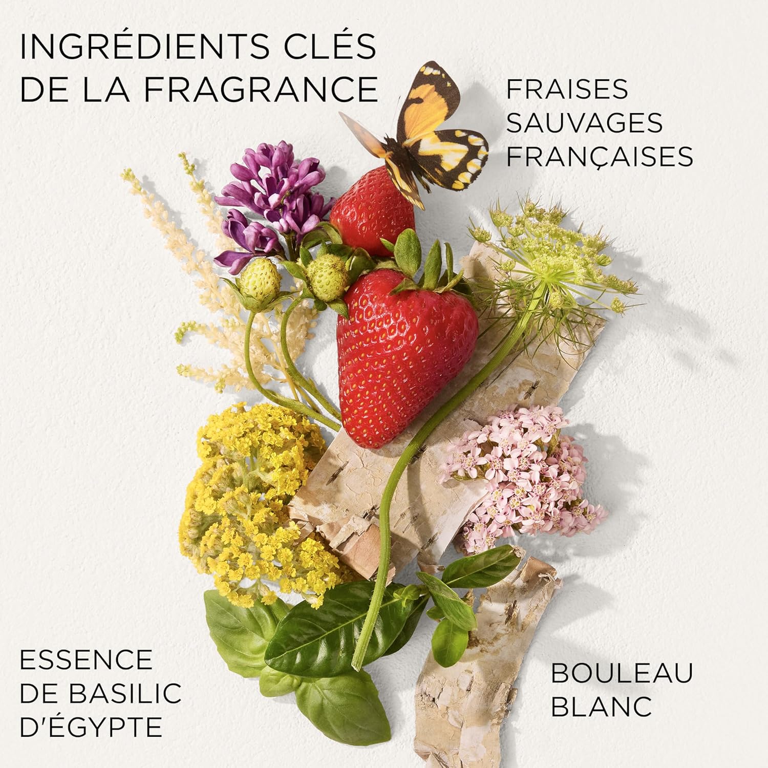 Thumbnail 5 de Elizabeth Arden Crème Pour Le Corps Green Tea Strawberry Basil Honey Drops – Lotion hydratante soyeuse
