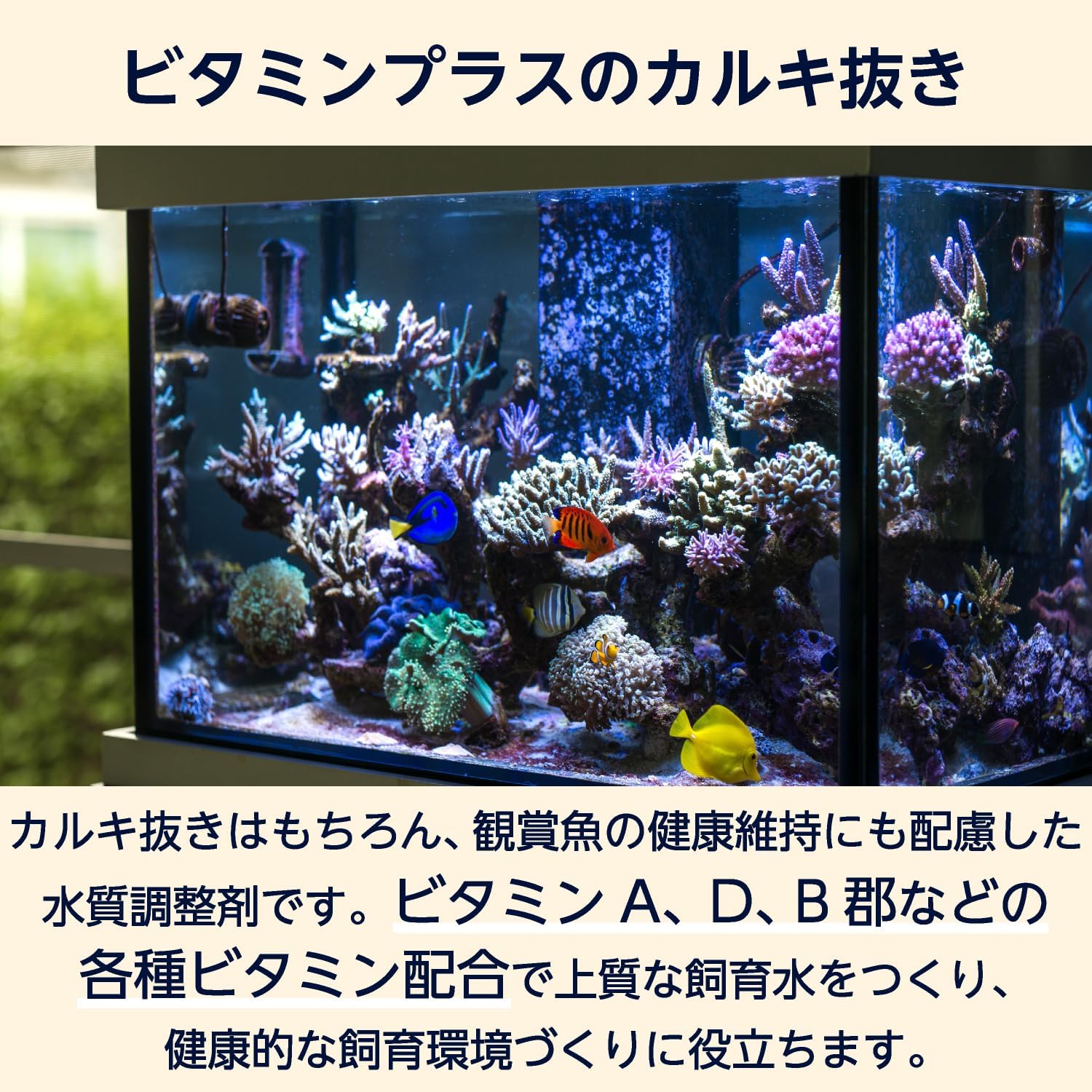 Detalle de by Amazon カルキ抜き 日本製 水質調整剤 淡水・海水両用 500ml×2個