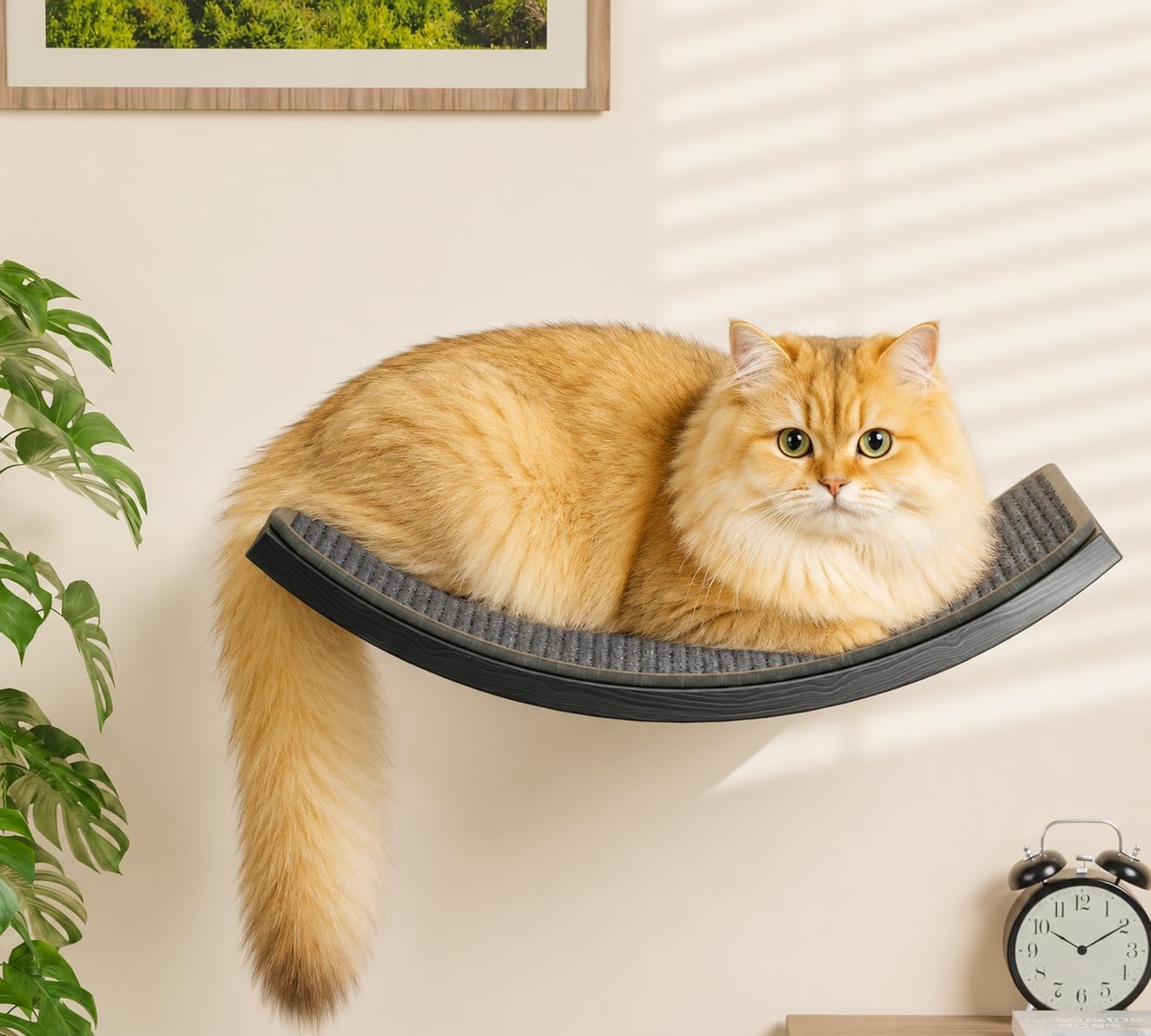 Detalle de Curved Cat Wall Shelves with Scratching Mat: Wall-Mmounted Play & Sleep Platform