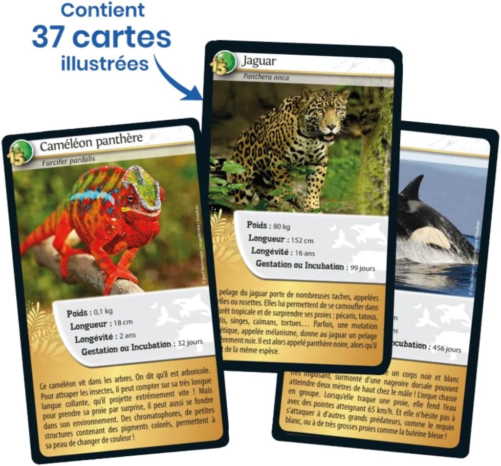 Thumbnail 4 de Bioviva DEFIS Nature Edición especial Animales Oscuro y Dorado