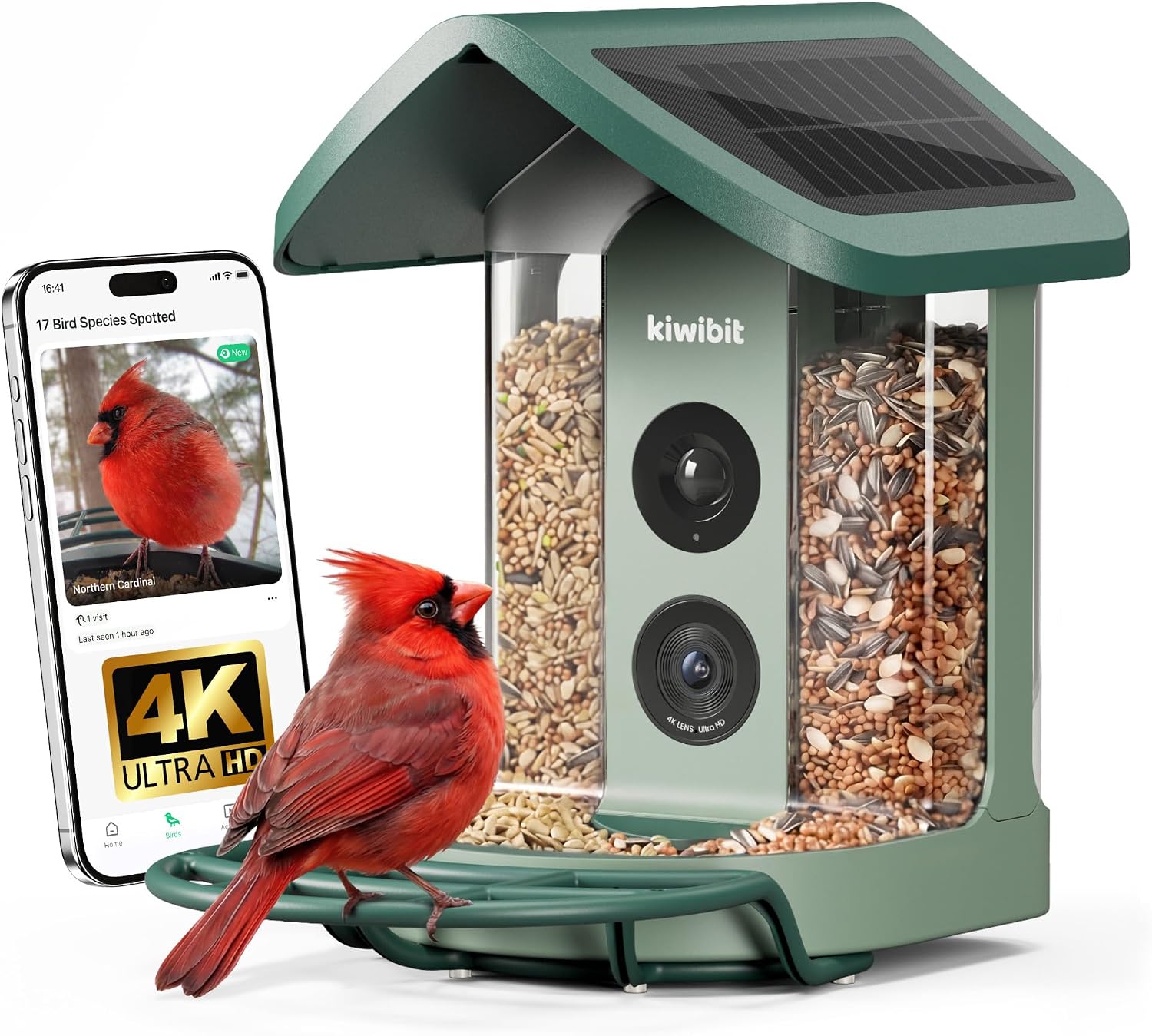 Detalle de Kiwibit Solar Smart Bird Feeder with Camera, 4K HDR Video and AI Bird ID