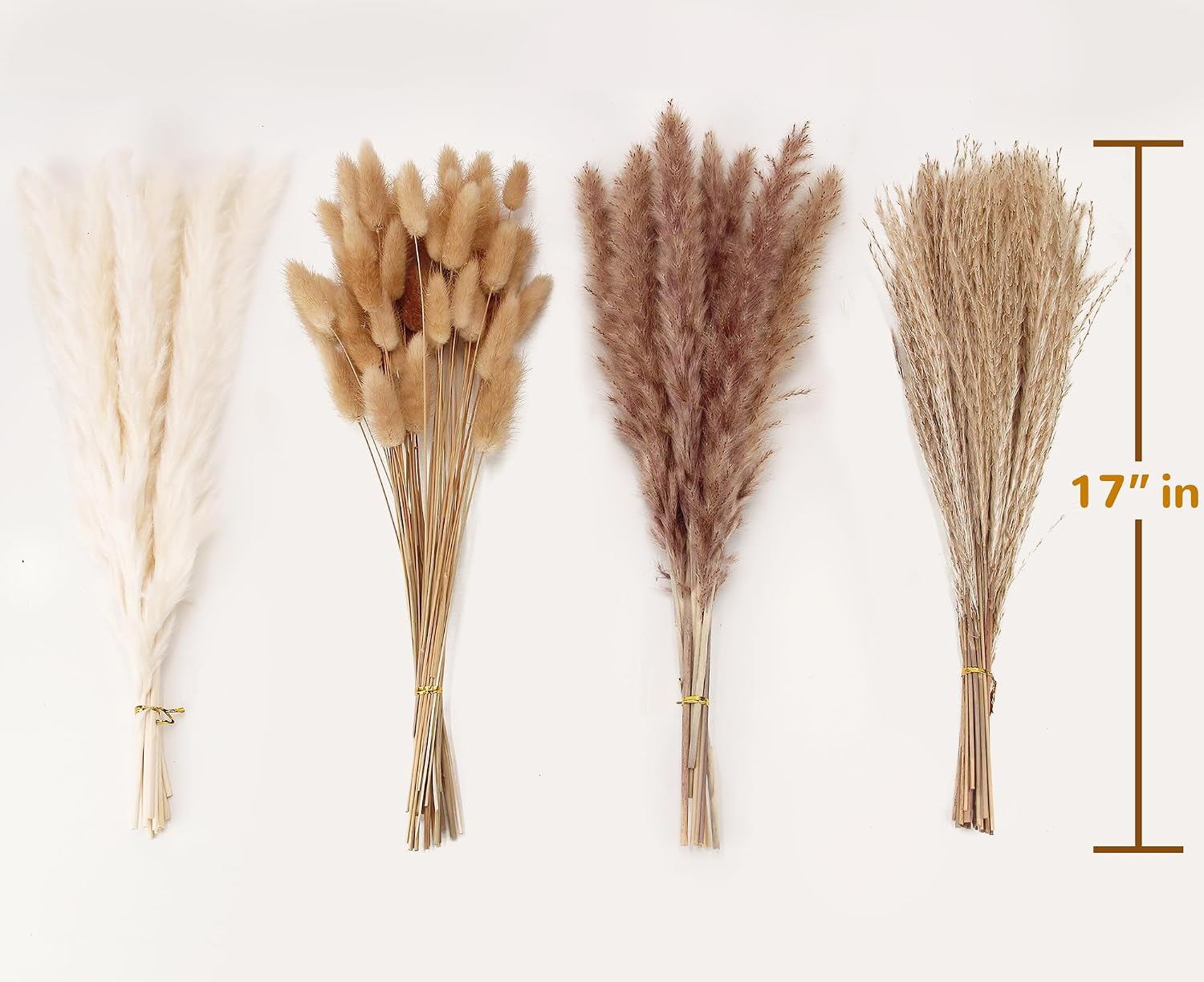 Detalle de ANPROOR SD-1 Dried Pampas Grass Bouquet, 100 Stems, 17-Inch White and Brown