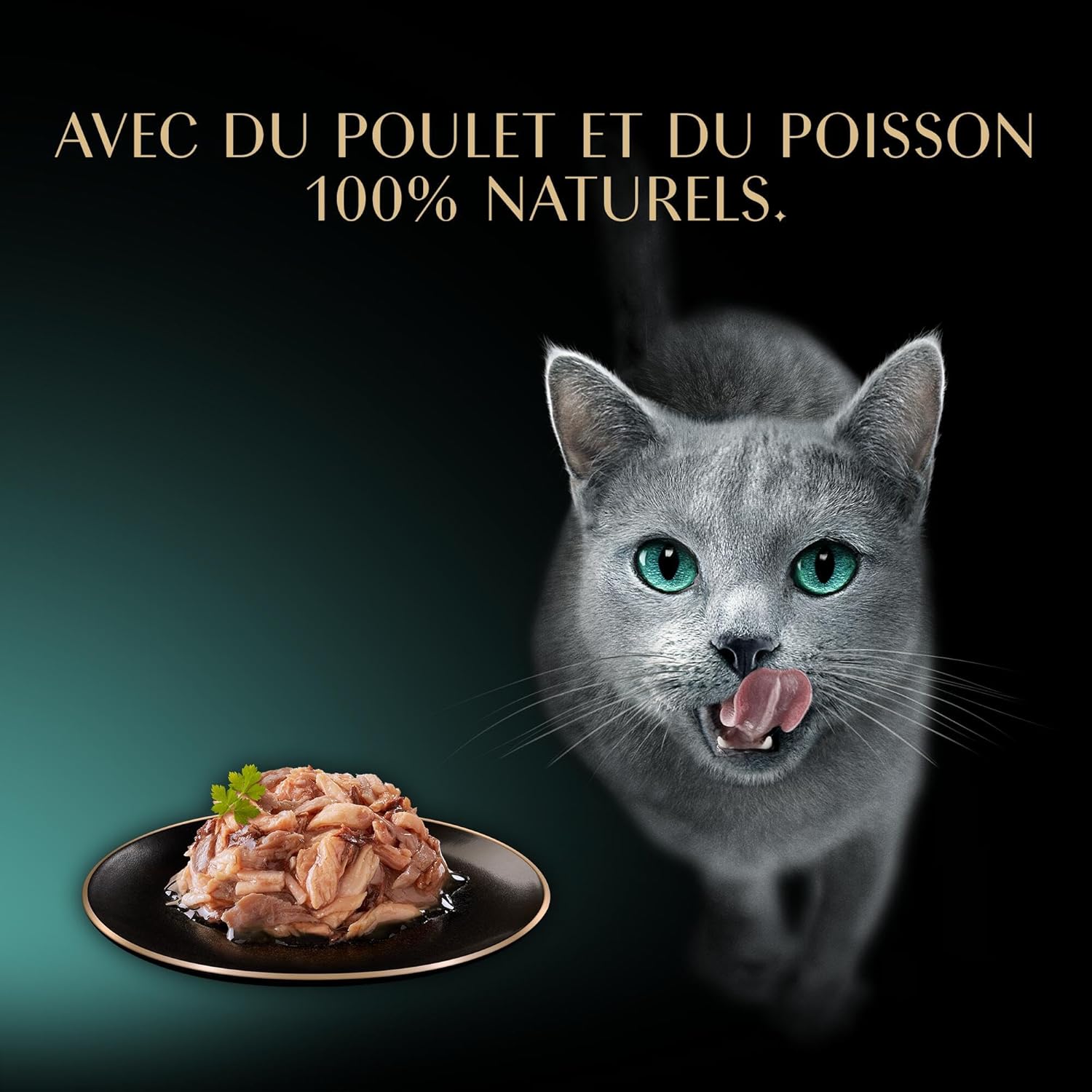 Detalle de SHEBA Filets pour Chat Adulte au Poulet et au Thon en Sauce – 32 barquettes de 60 g