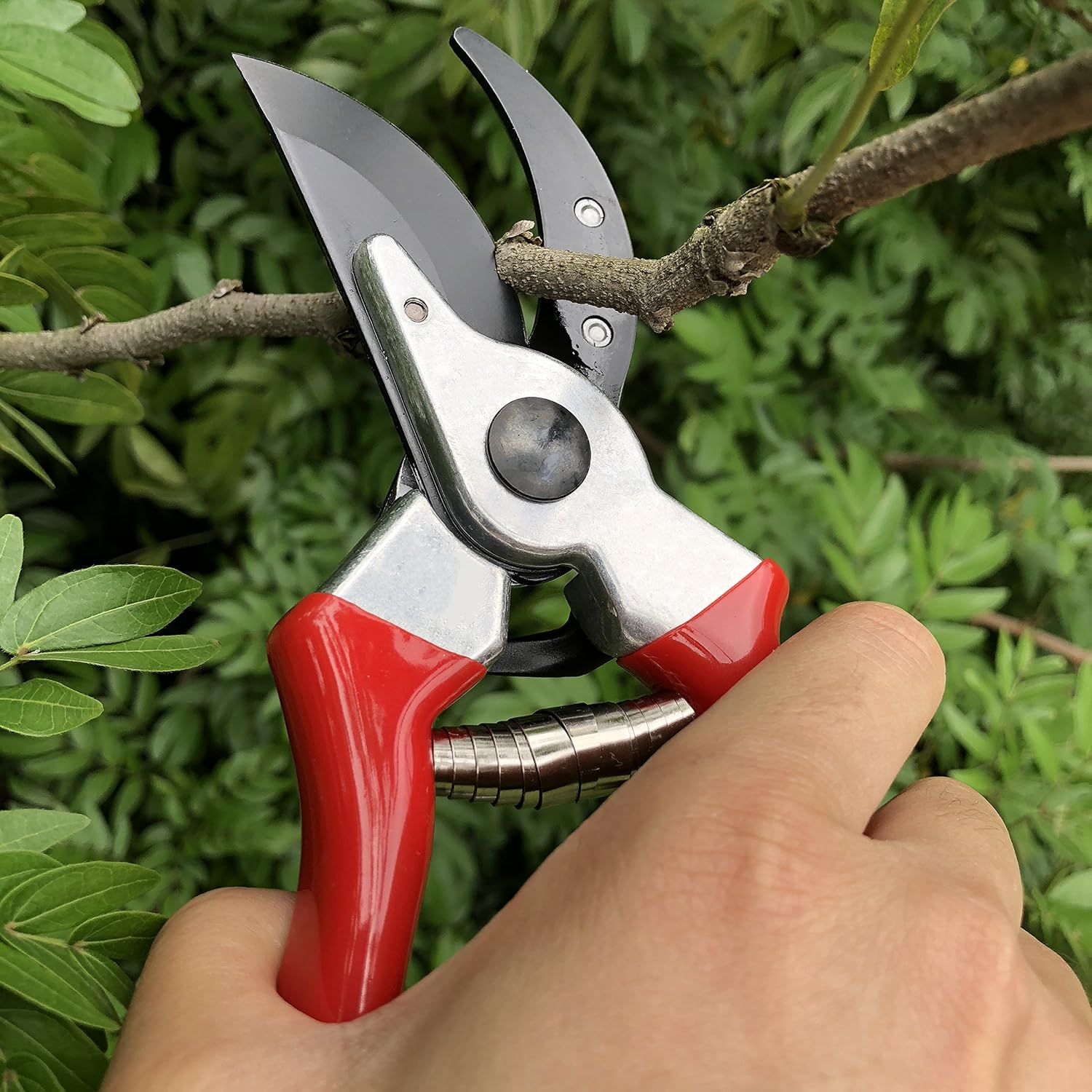 Thumbnail 4 de gonicc GPPS-1002 8-Inch Bypass Pruning Shears with Sap Groove