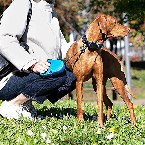 Detalle 2 de Ferplast Flippy One Tape M correa extensible 5 m para perros 🐕