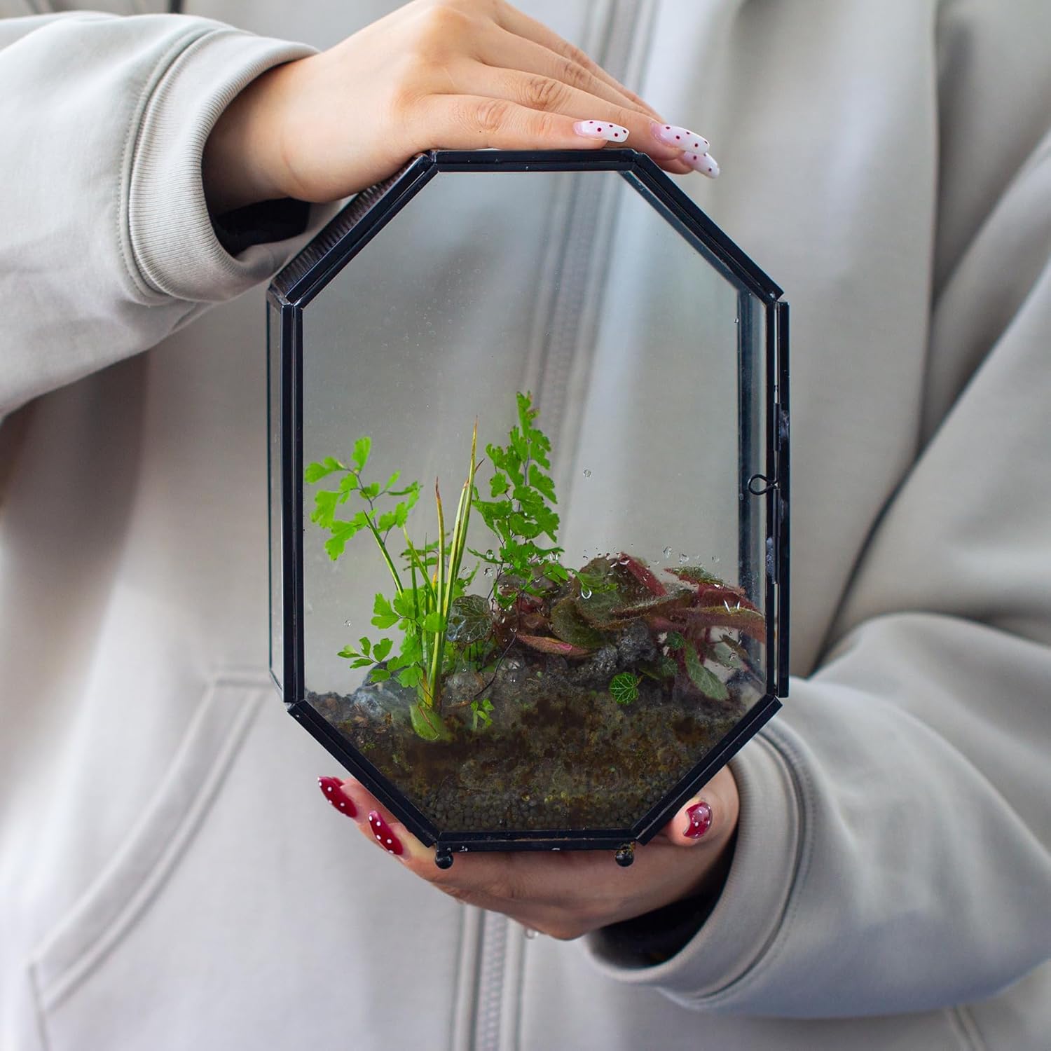 Thumbnail 4 de NCYP Glass Terrarium for Jumping Spiders