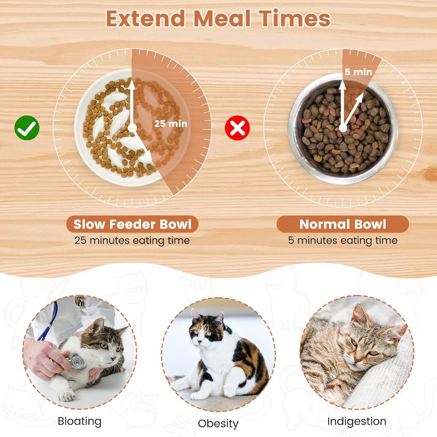 Thumbnail 5 de PETTOM Anti-Schling Napf aus Keramik für Katzen & kleine Hunde (langsames Fressen, Ø16 cm)