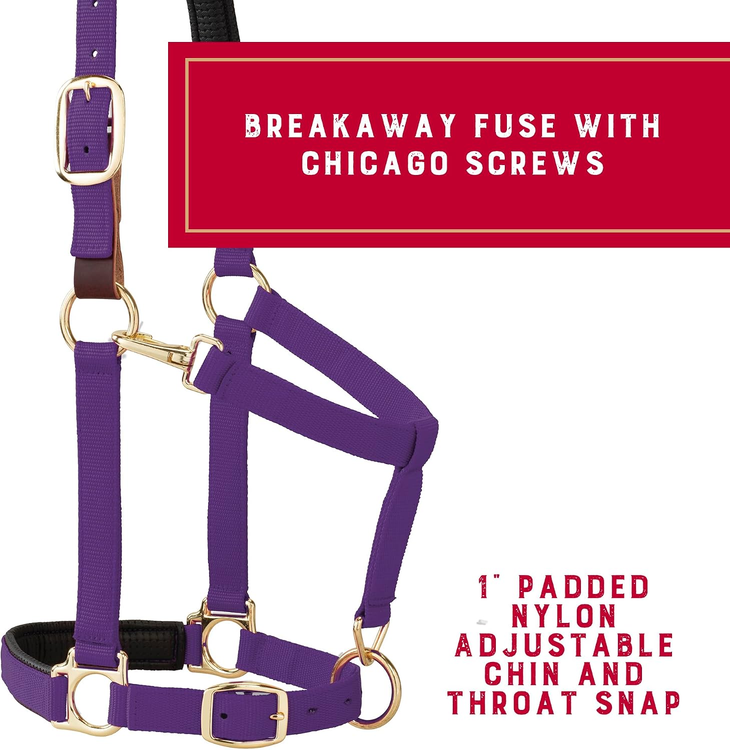 Detalle de Weaver Leather Equine Breakaway – zrywalny kantar dla konia, średni, fioletowy