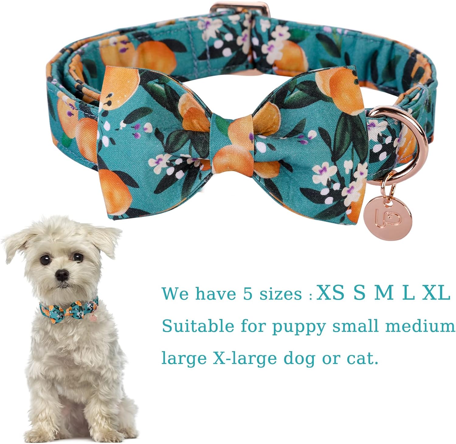 Detalle 2 de UP URARA PUP Dog Collar, Medium