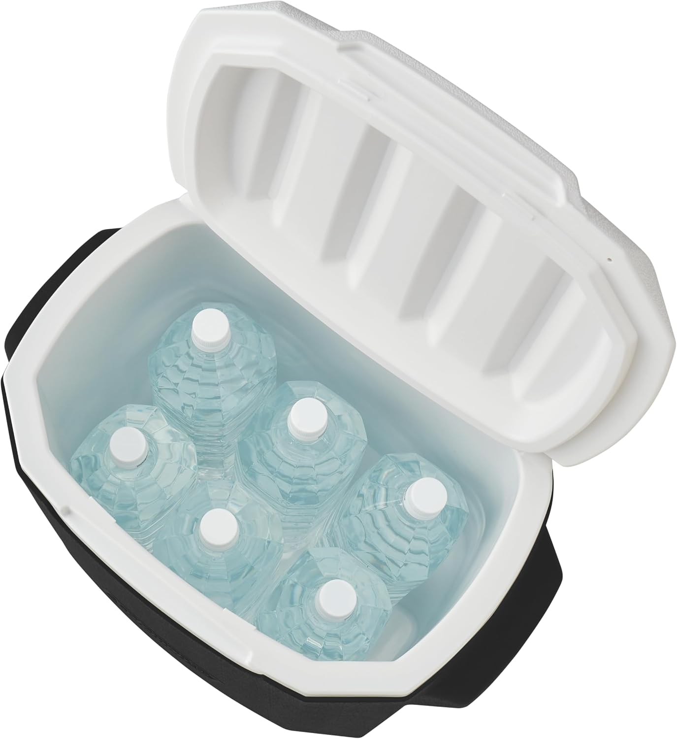 Detalle 2 de Coleman 2221061 ホイールクーラー28QT(26L)キャスター・伸縮ハンドル付き