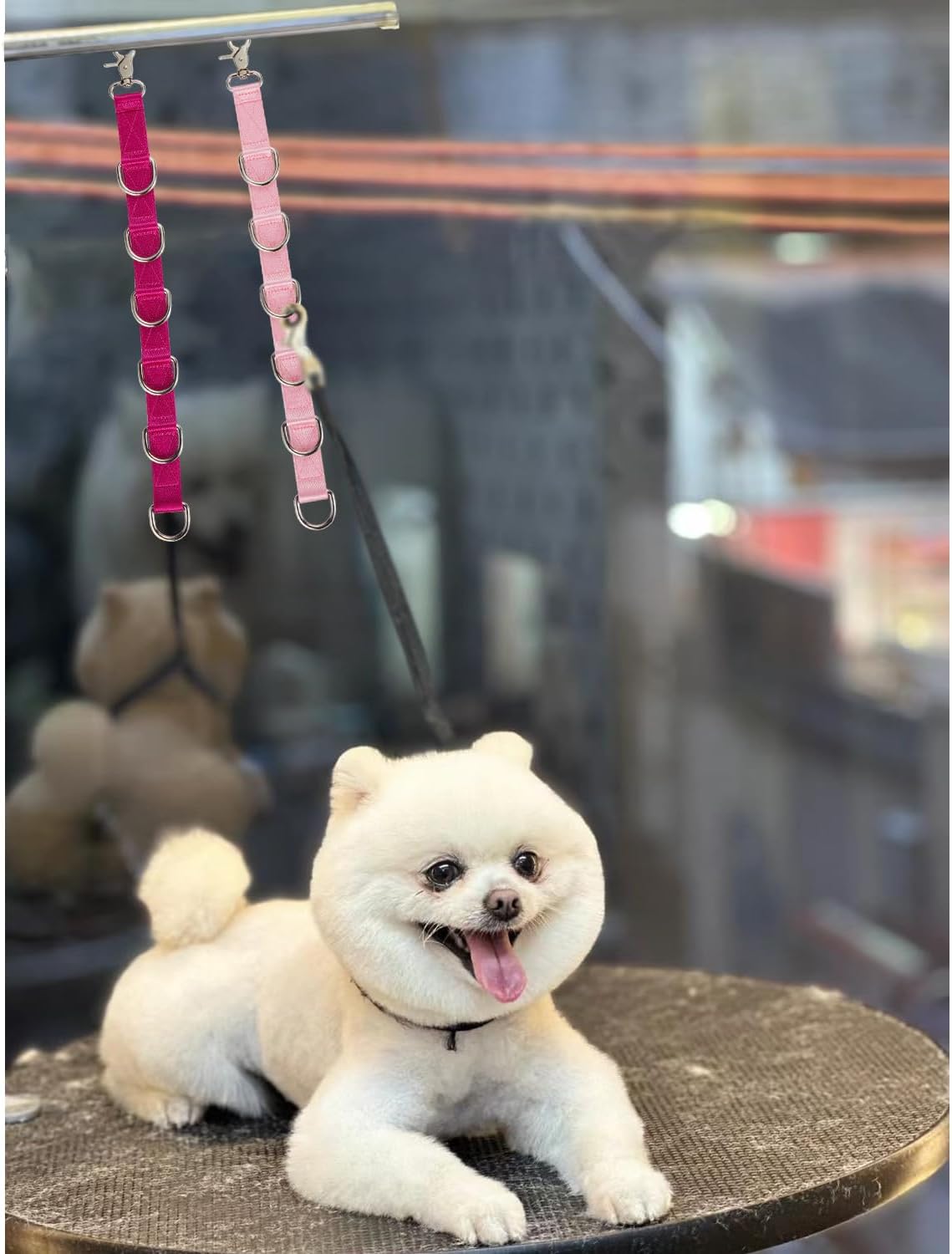 Thumbnail 3 de Dog grooming loop extension straps, nylon