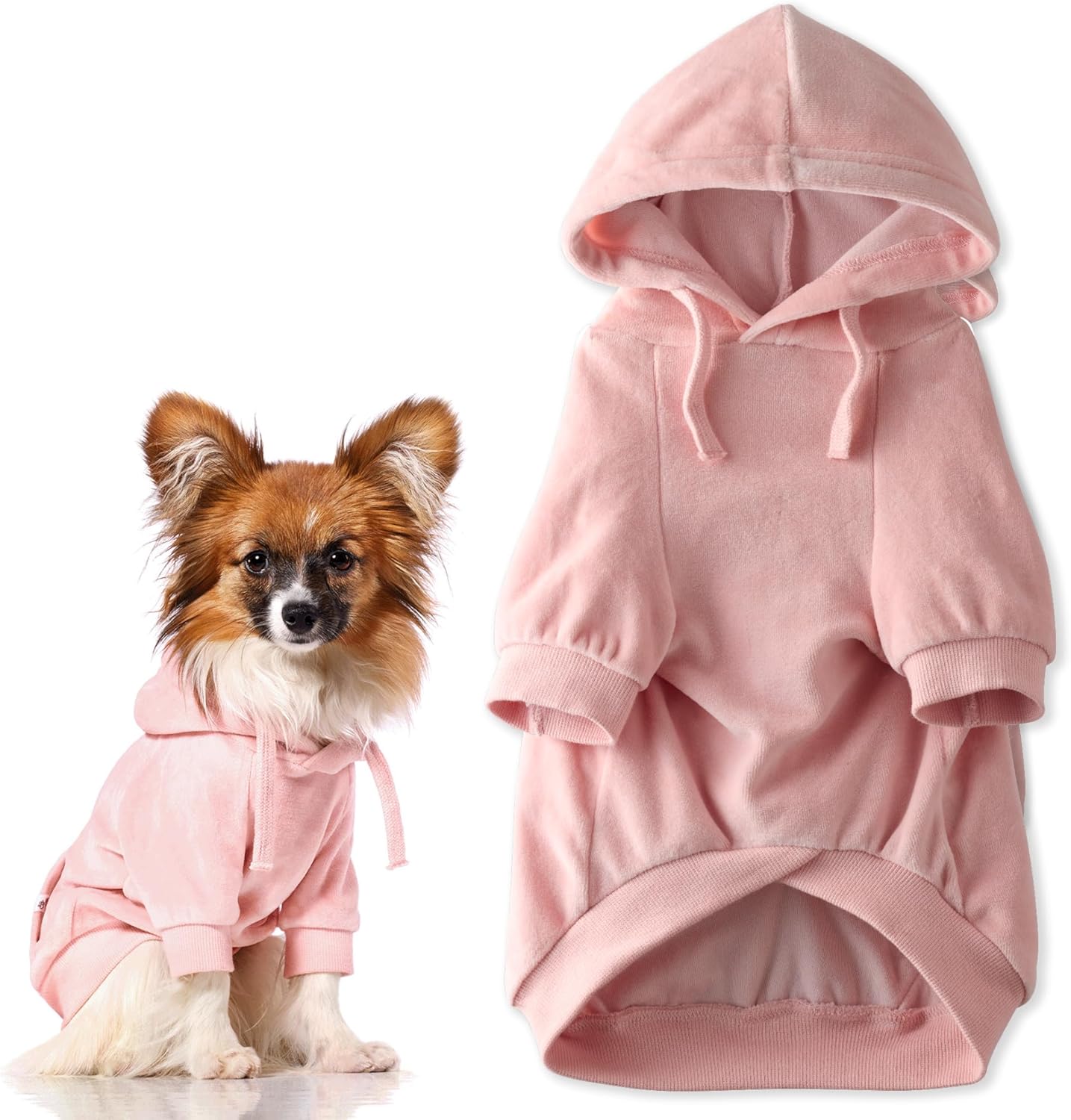 Detalle de Pet Passion Dog Hoodie, Small