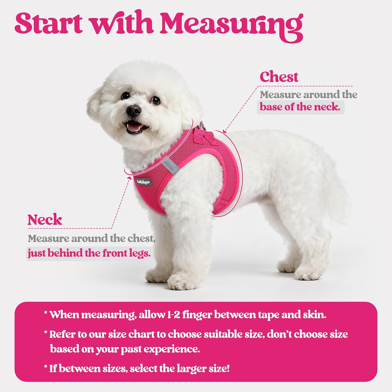 Detalle de rabbitgoo Dog Harness and Leash Set, Size S