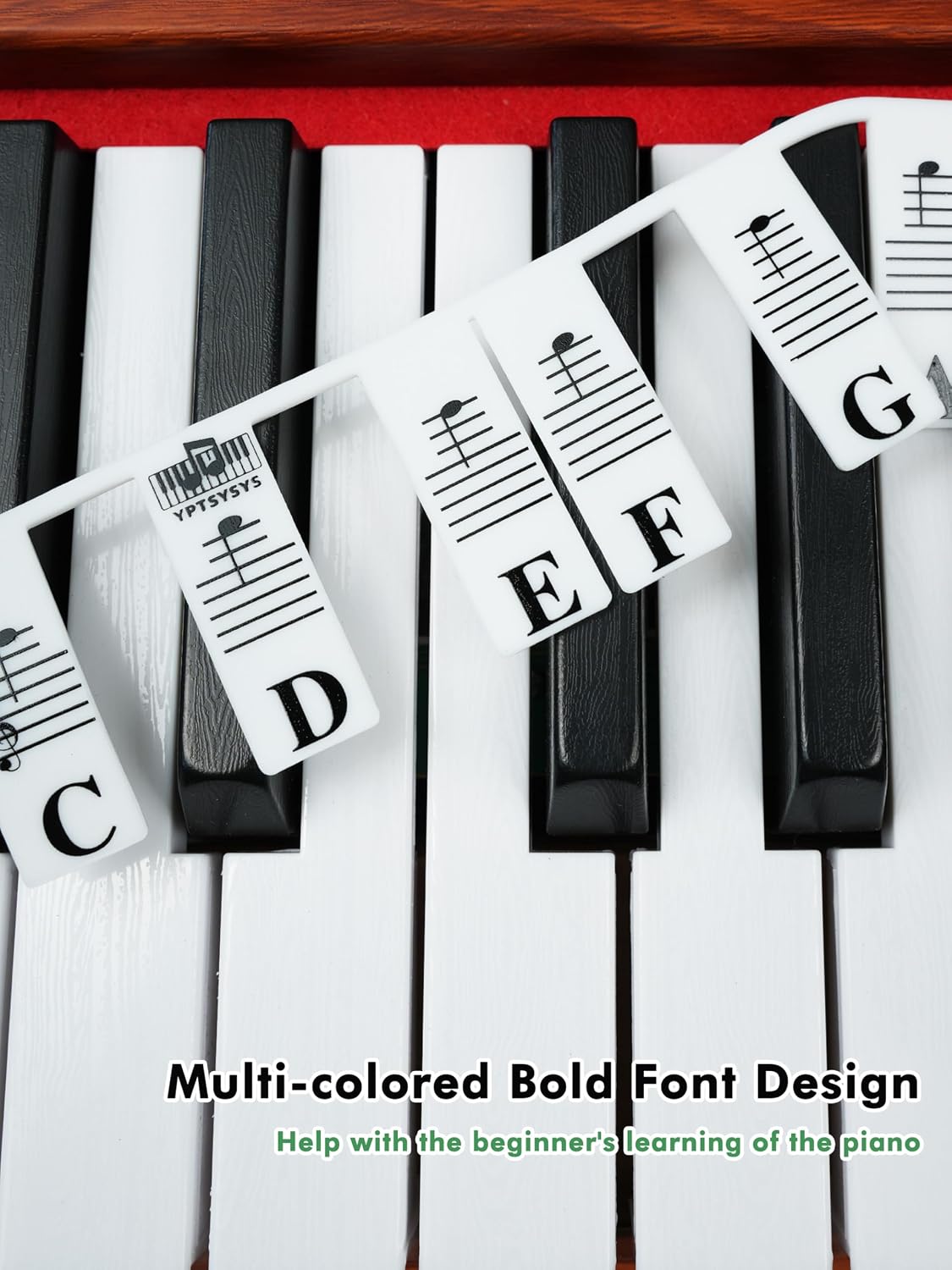 Detalle 2 de YPTSYSYS Piano Key Labels, Silicone