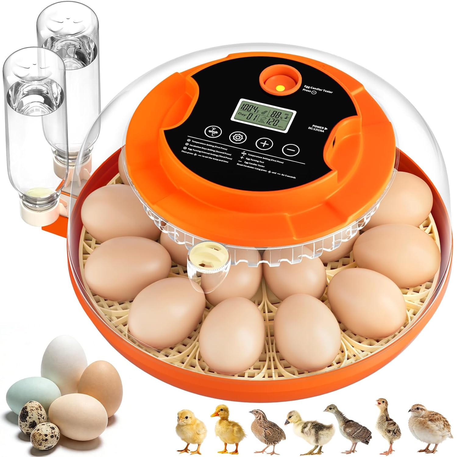 Onsju 18-Egg Automatic Incubator for Hatching Eggs with Humidity Control