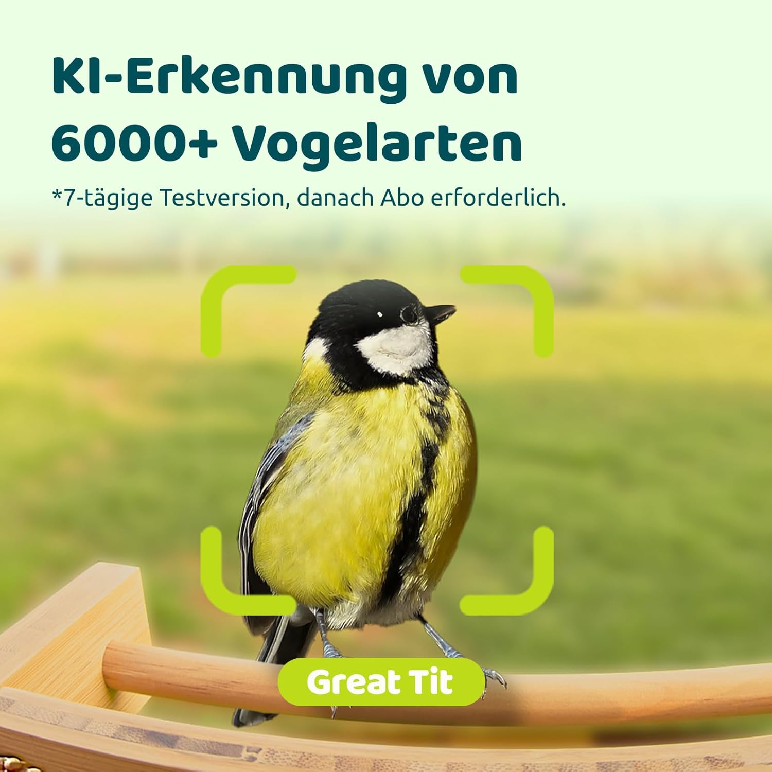 Detalle 2 de NETVUE Bambus Mini Vogelfutterhaus mit Kamera 1,9 L