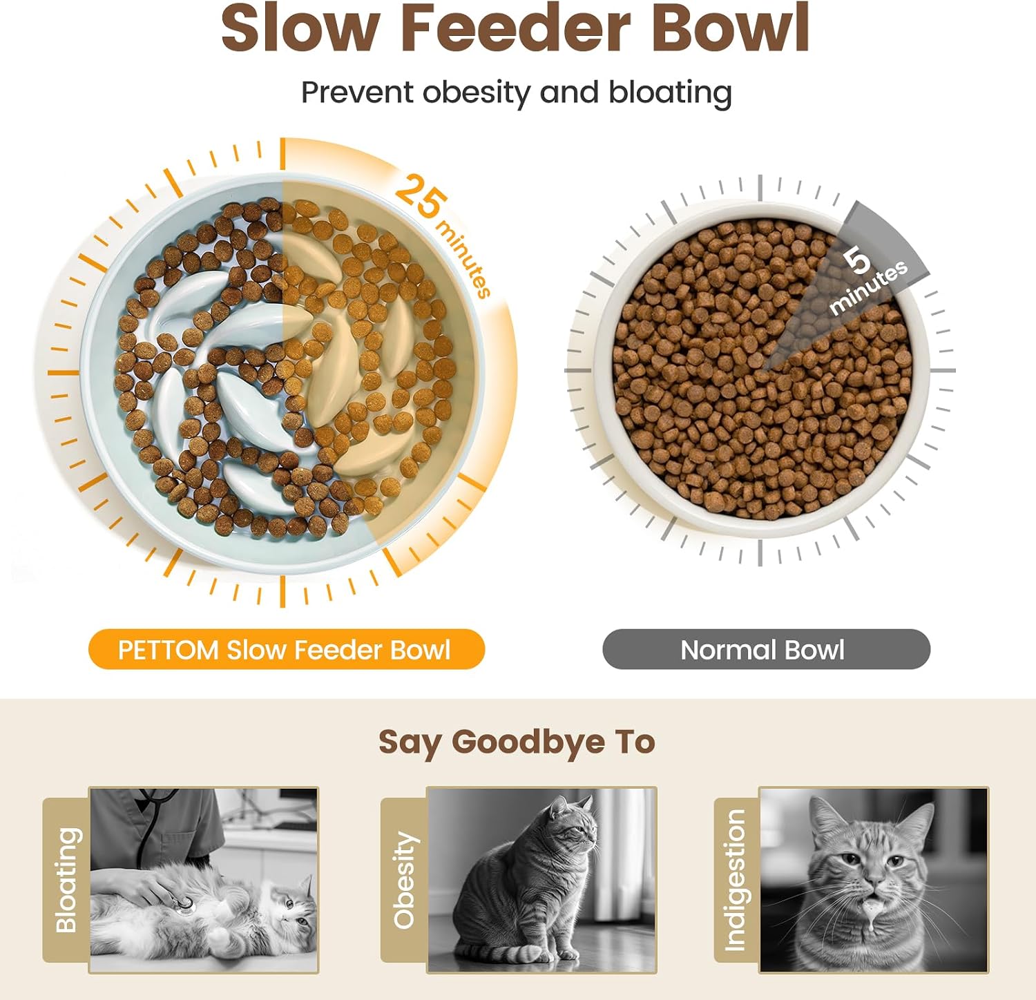 Detalle de PETTOM Slow Feeder Cat Bowl Ceramic with Bamboo Stand – Raised Rim, Spill-Proof and Whales-Inspired Design