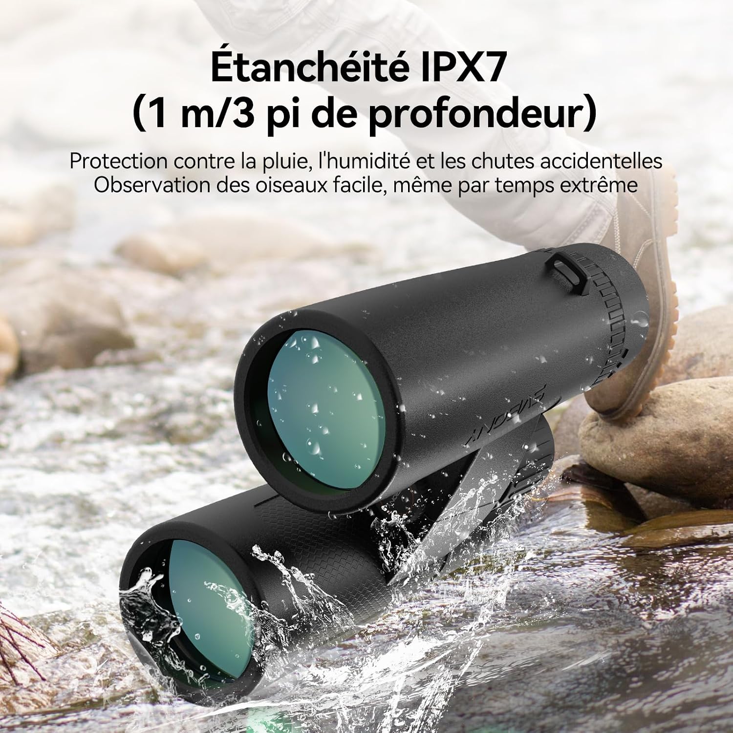 Detalle de Svbony SV202 Upgraded 8x32 ED : jumelles étanches FMC pour l’observation des oiseaux