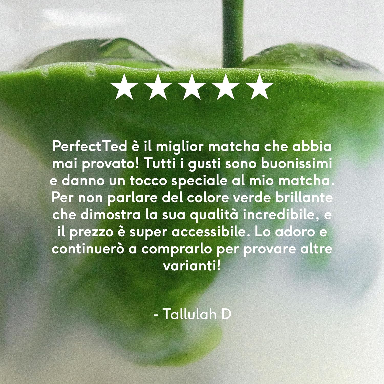 Thumbnail 6 de Perfect Ted Capsule di Matcha Originale – Pods Bio Compatibili Nespresso