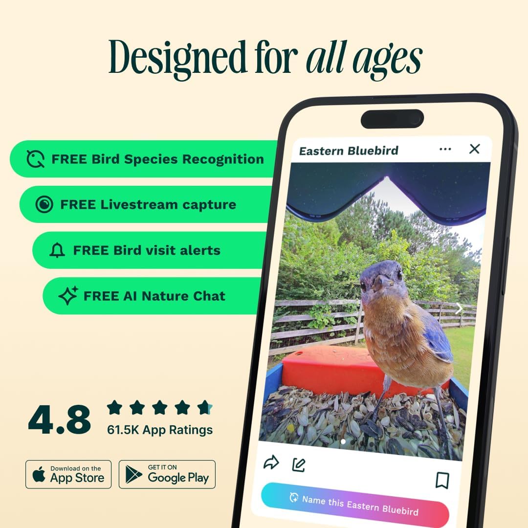 Detalle de Bird Buddy Bird Feeder Cam with AI