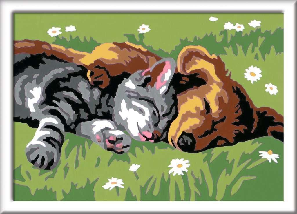 Detalle de Ravensburger CreArt 28015 Deep Sleep – Peinture par numéros pour chiens et chats (7 ans et +) – Set avec cadre et pinceau