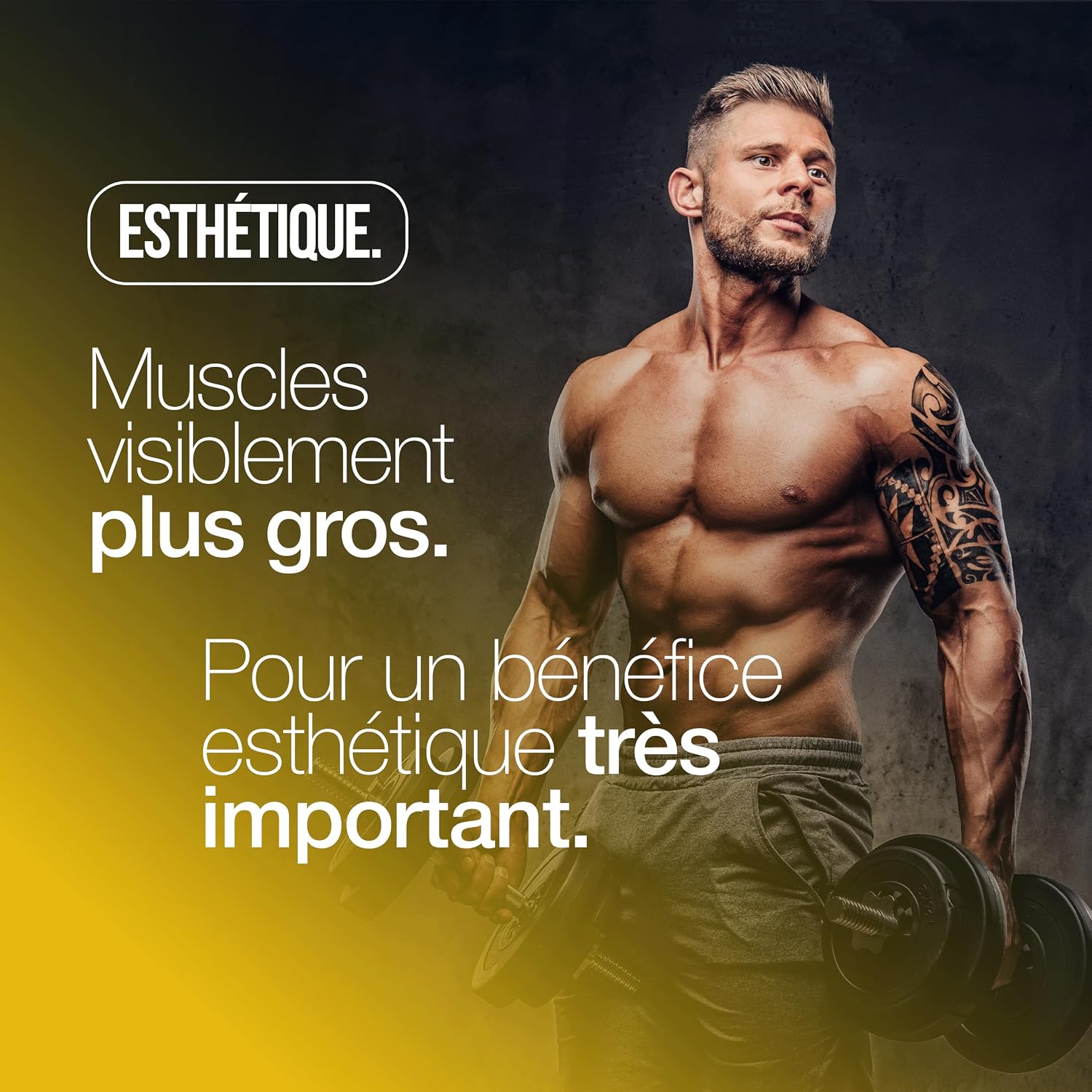 Detalle 2 de Creatine Monohydrate 120 comprimés 3000 mg