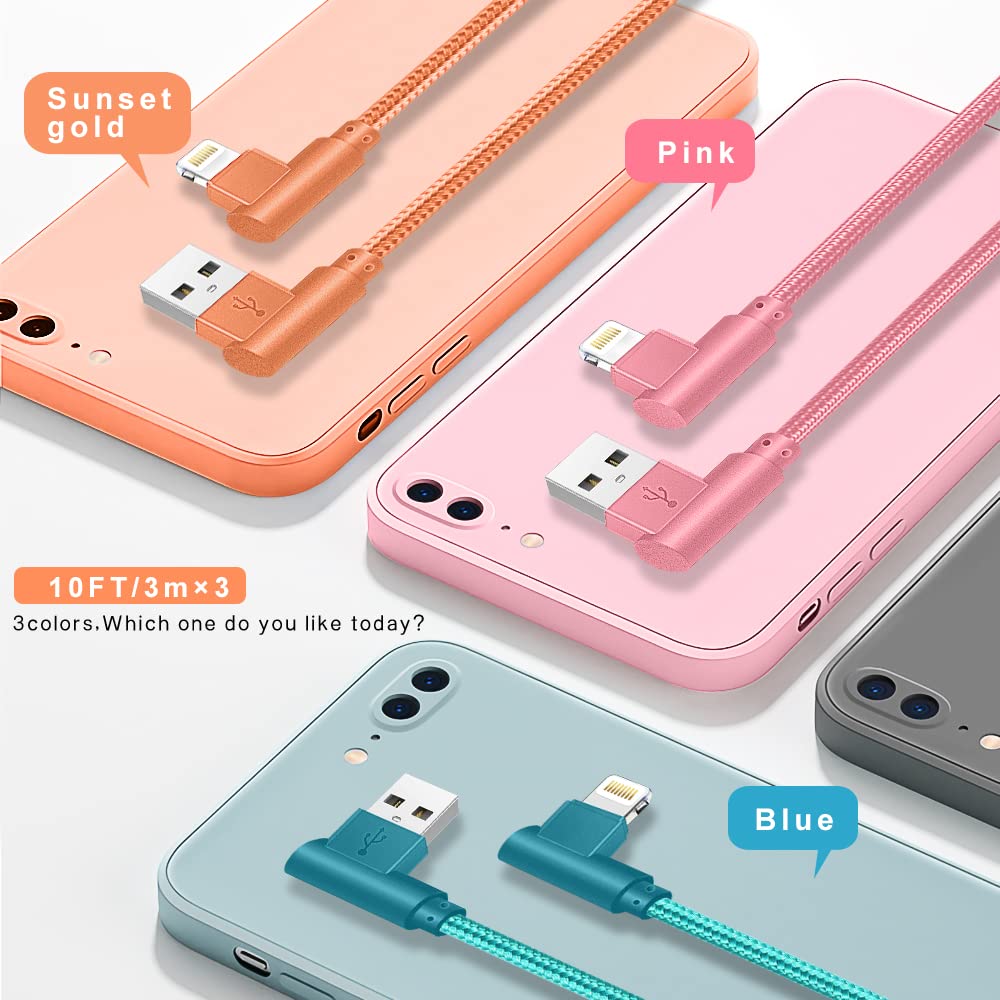 Detalle 2 de iPhone Lightning Cable 10FT