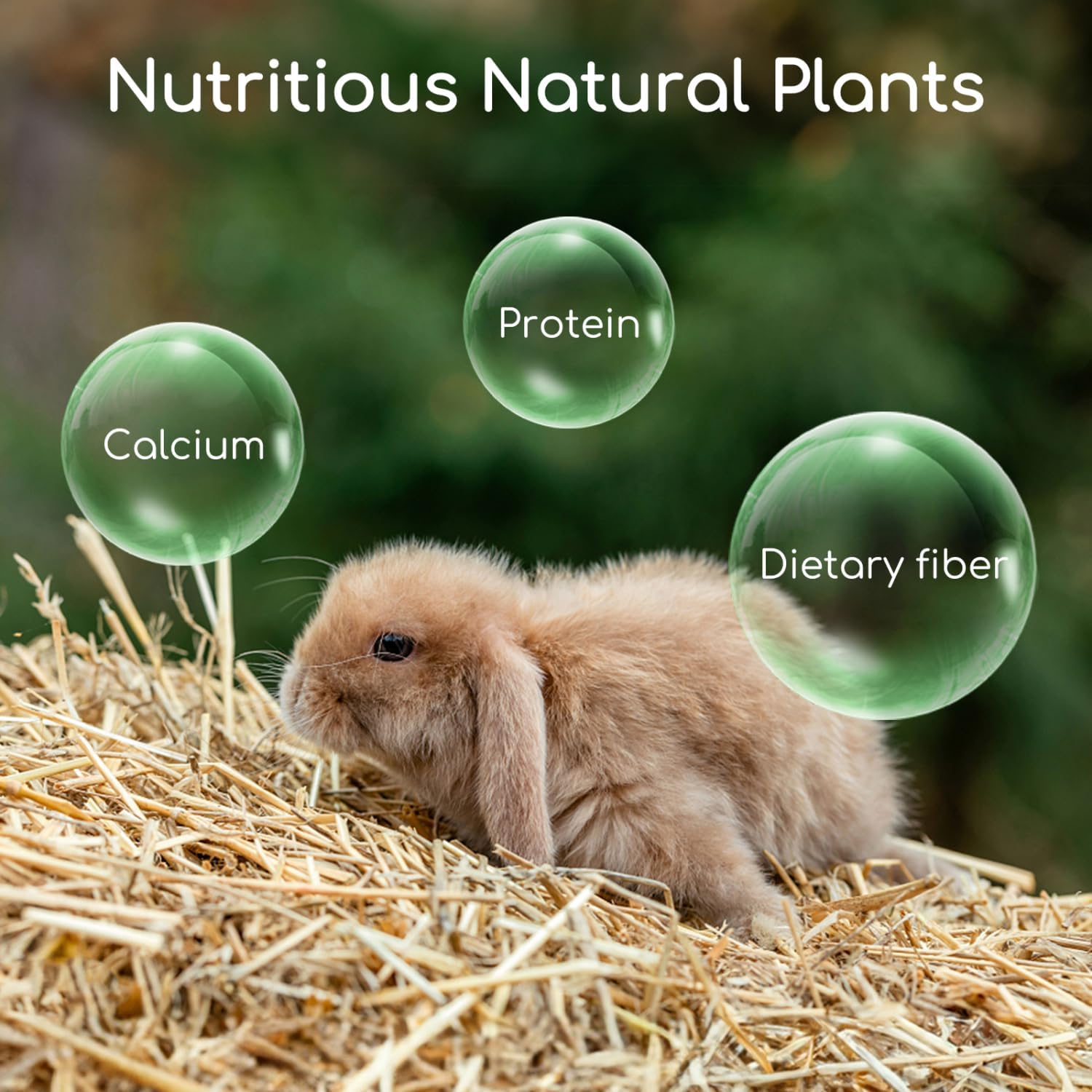 Thumbnail 1 de Nobleza Timothy Hay per conigli e roditori, 2,5 kg di fieno ricco di fibre