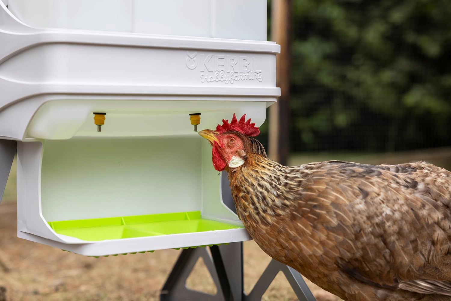 Detalle 2 de Kerbl Hobbyfarming SmartCoop – mobilny stojak do poidła i karmidła, szary