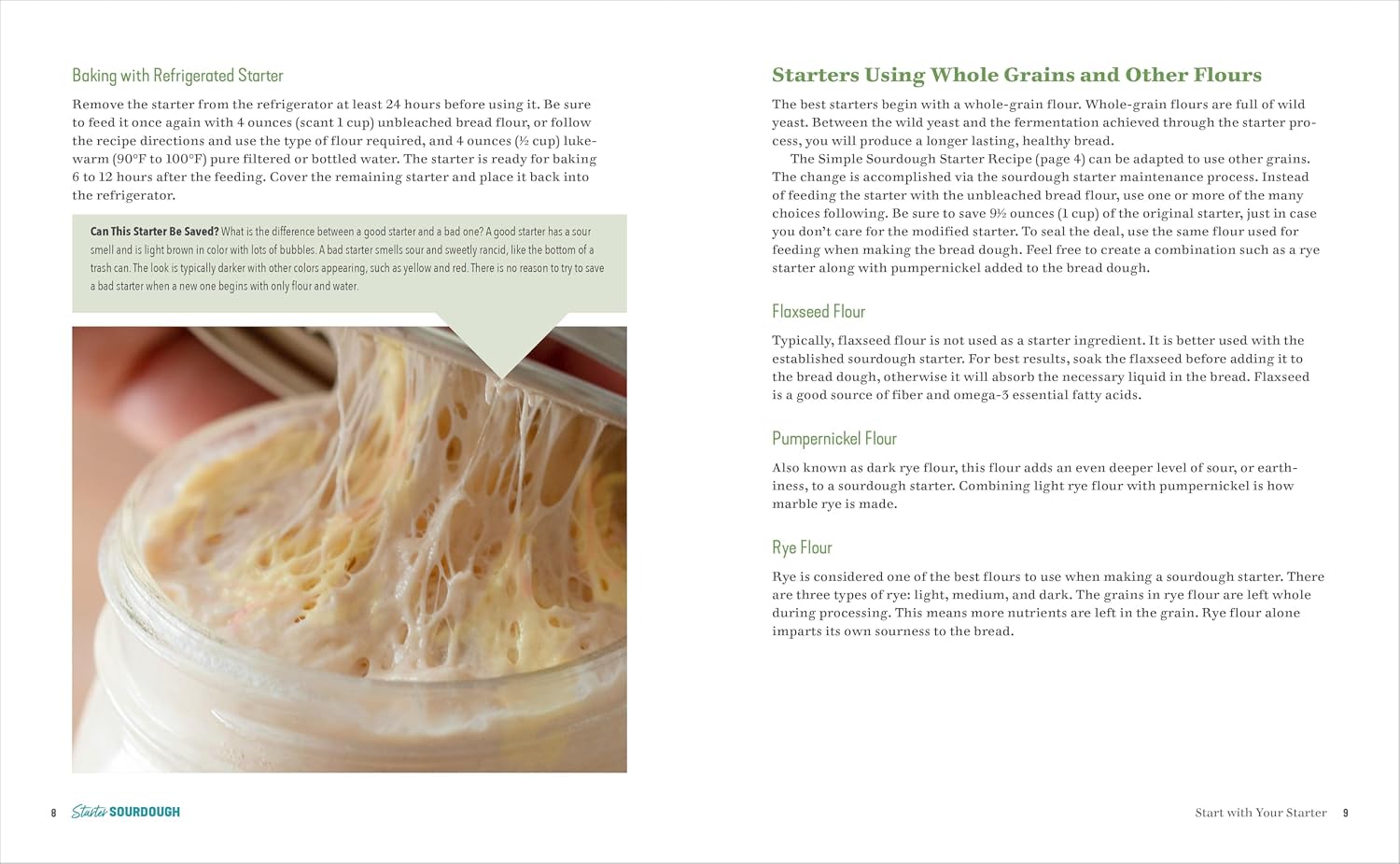 Detalle 2 de Starter Sourdough: Step-by-Step Baking Guide for Bread, Baguettes & Pancakes