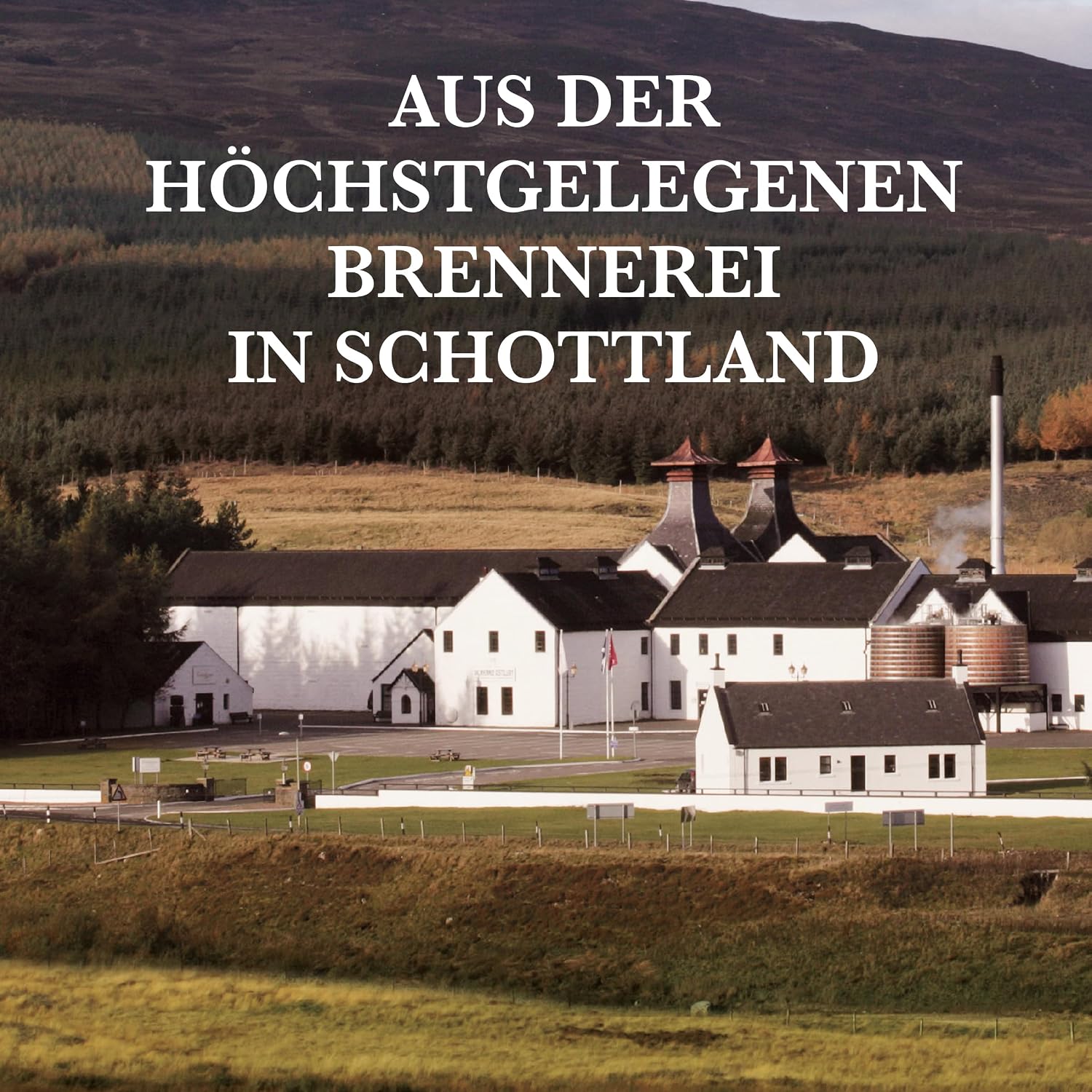 Detalle de Dalwhinnie 15 Jahre – Highland-Charakter mit milder Honigsüße