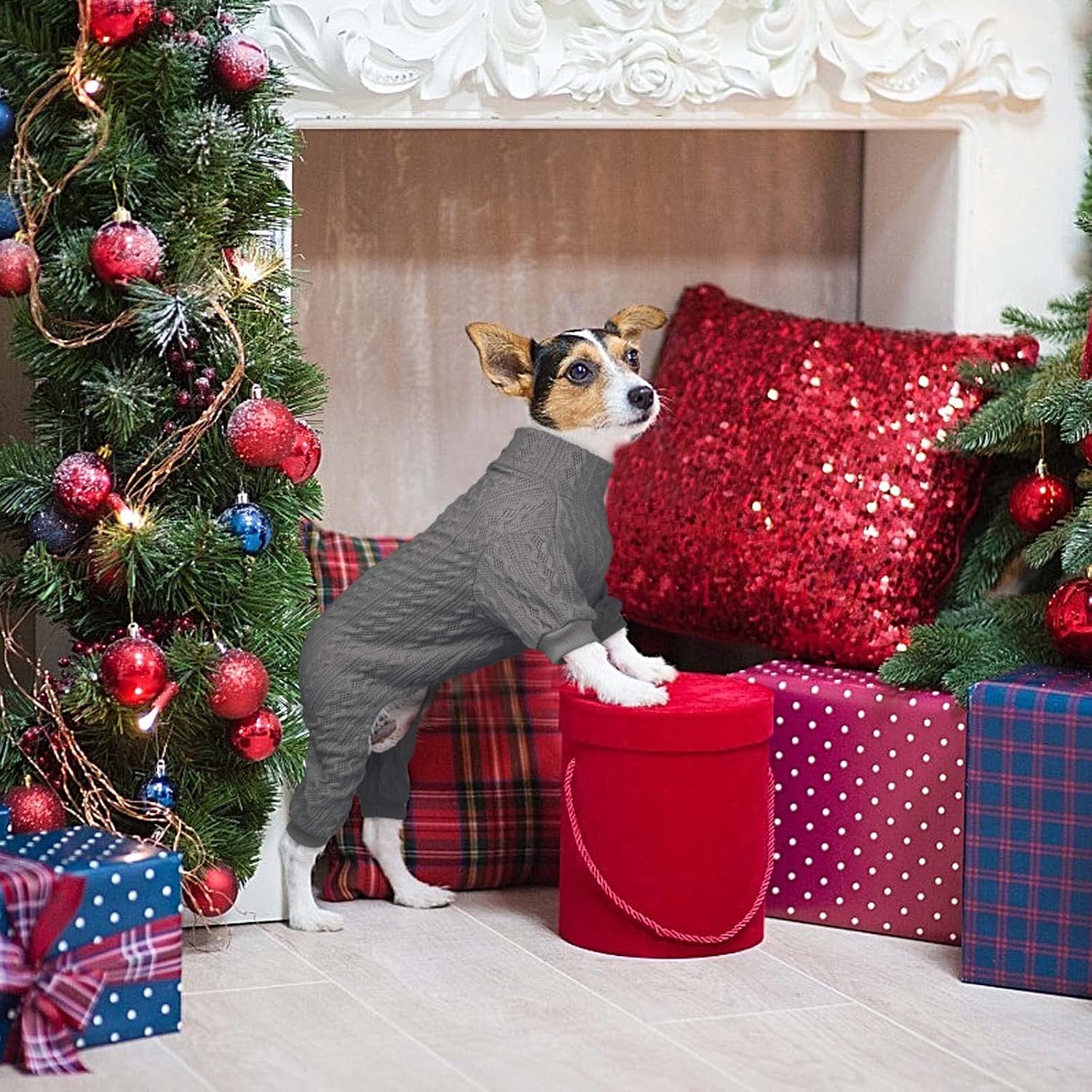 Detalle 2 de Dog Sweater, Size L