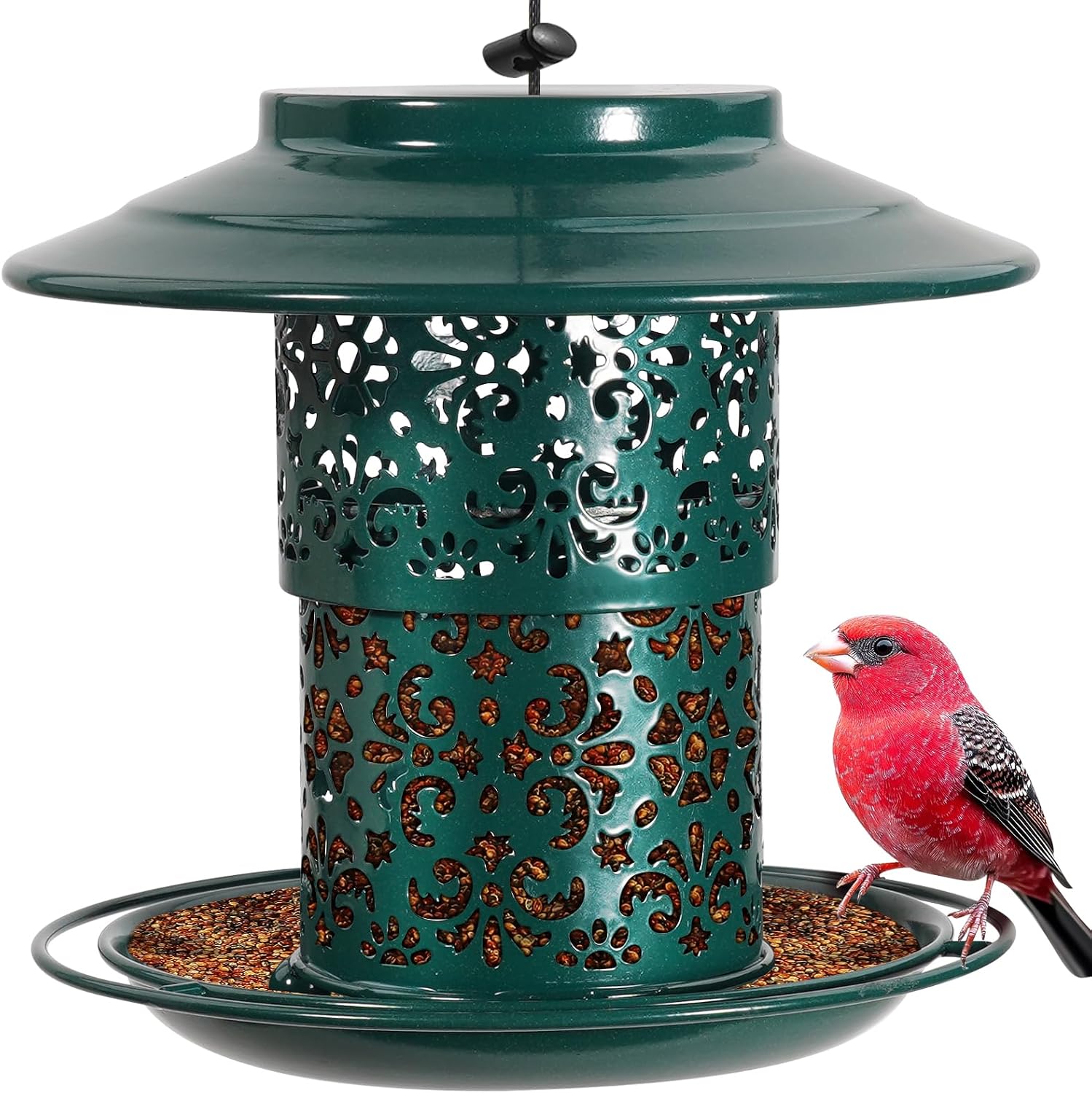 BPYOT Metal Bird Feeder Chew-proof