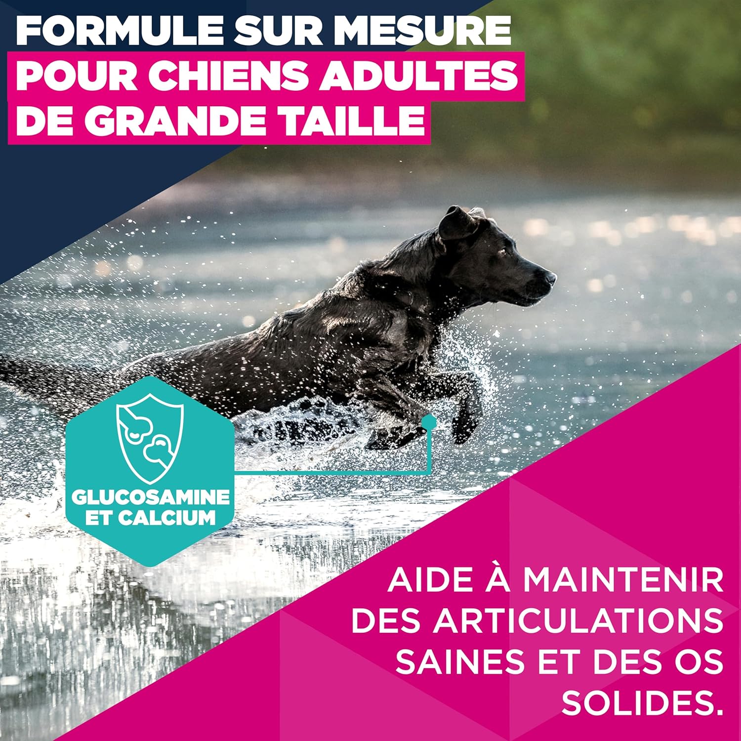 Detalle de EUKANUBA Life Care Croquettes Chien Adulte Grande Race 18 Mois à 6 Ans – Poulet frais, Oméga 3&6 et DentaDefense