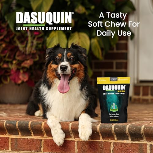 Thumbnail 3 de Nutramax Dasuquin MSM Joint Supplement for Large Dogs, Soft Chews (84 ct)