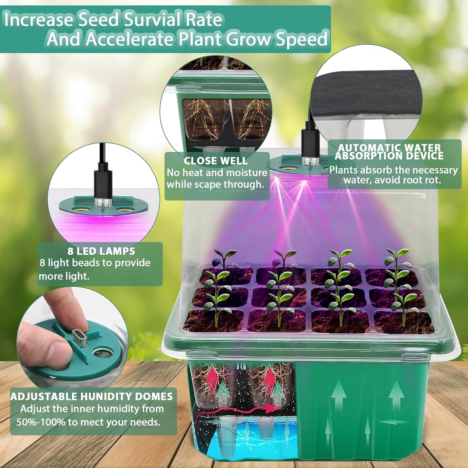 Detalle de MQFORU Self-Watering Seed Starter Kit, 72 Cells, Grow Lights and Humidity Domes