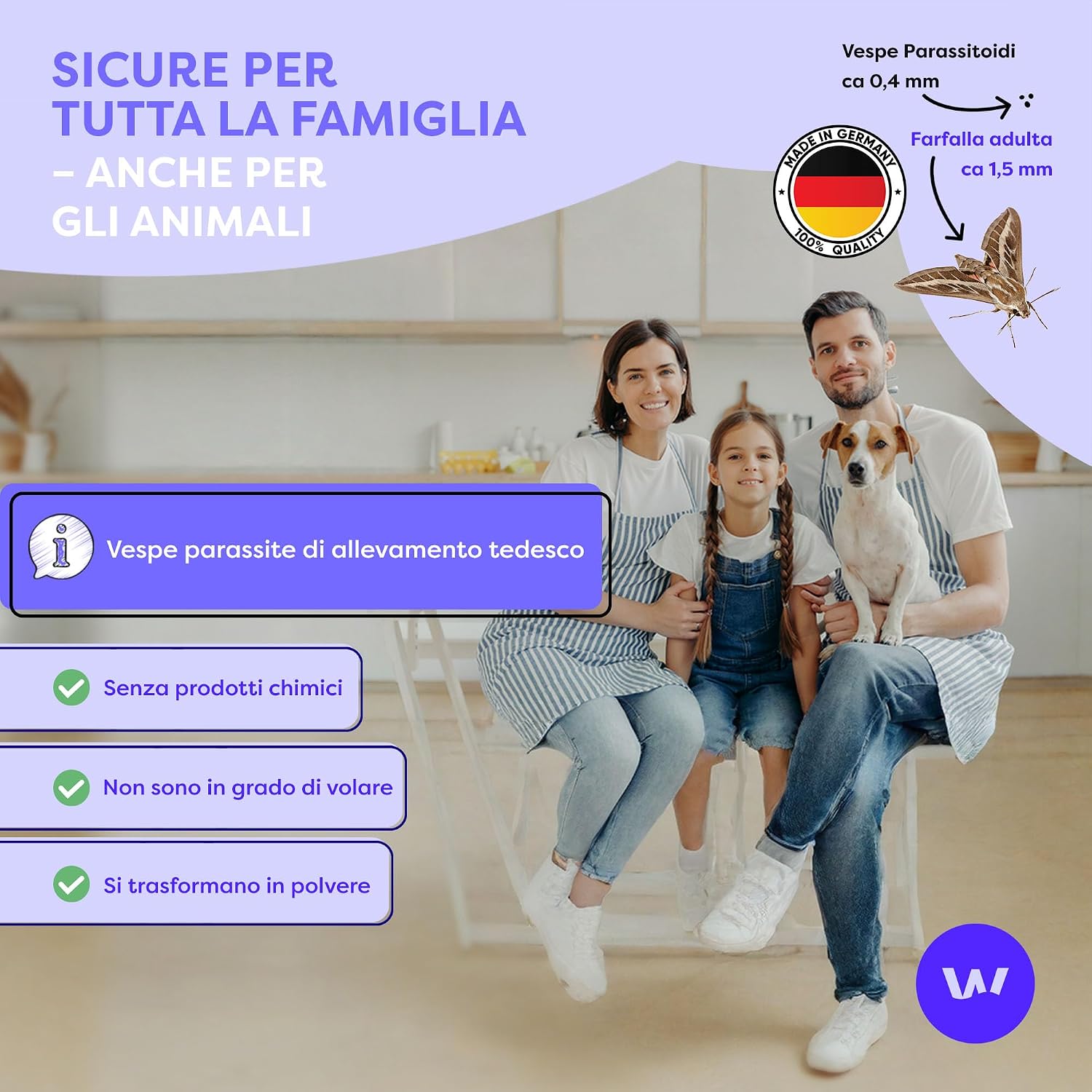 Detalle de Wolkenfeld Vespe parassitoidi contro le tarme alimentari – 4 carte, 1 mq di azione naturale